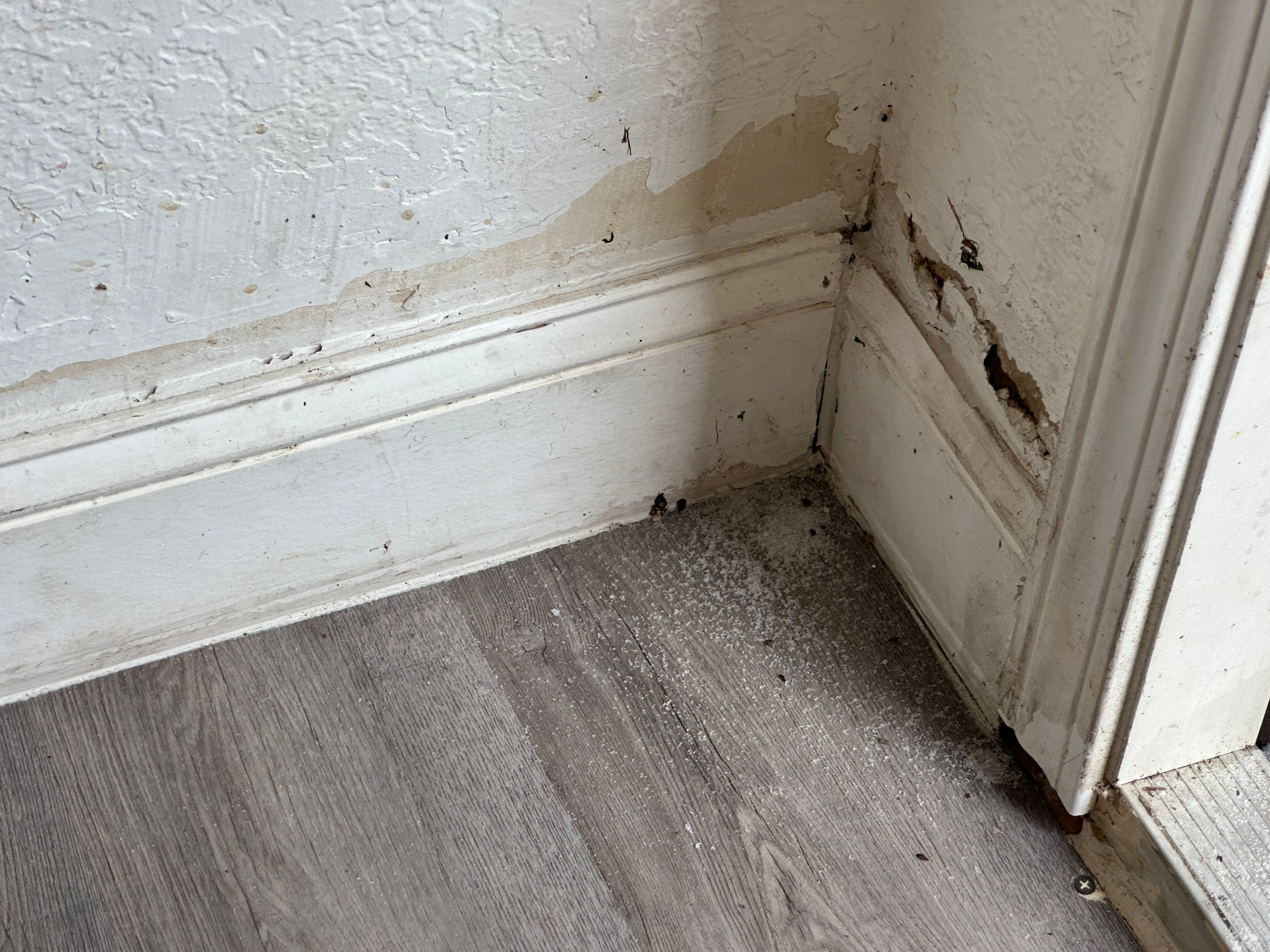 Water Damage Claim in Miami by FLAPA & KeyStone