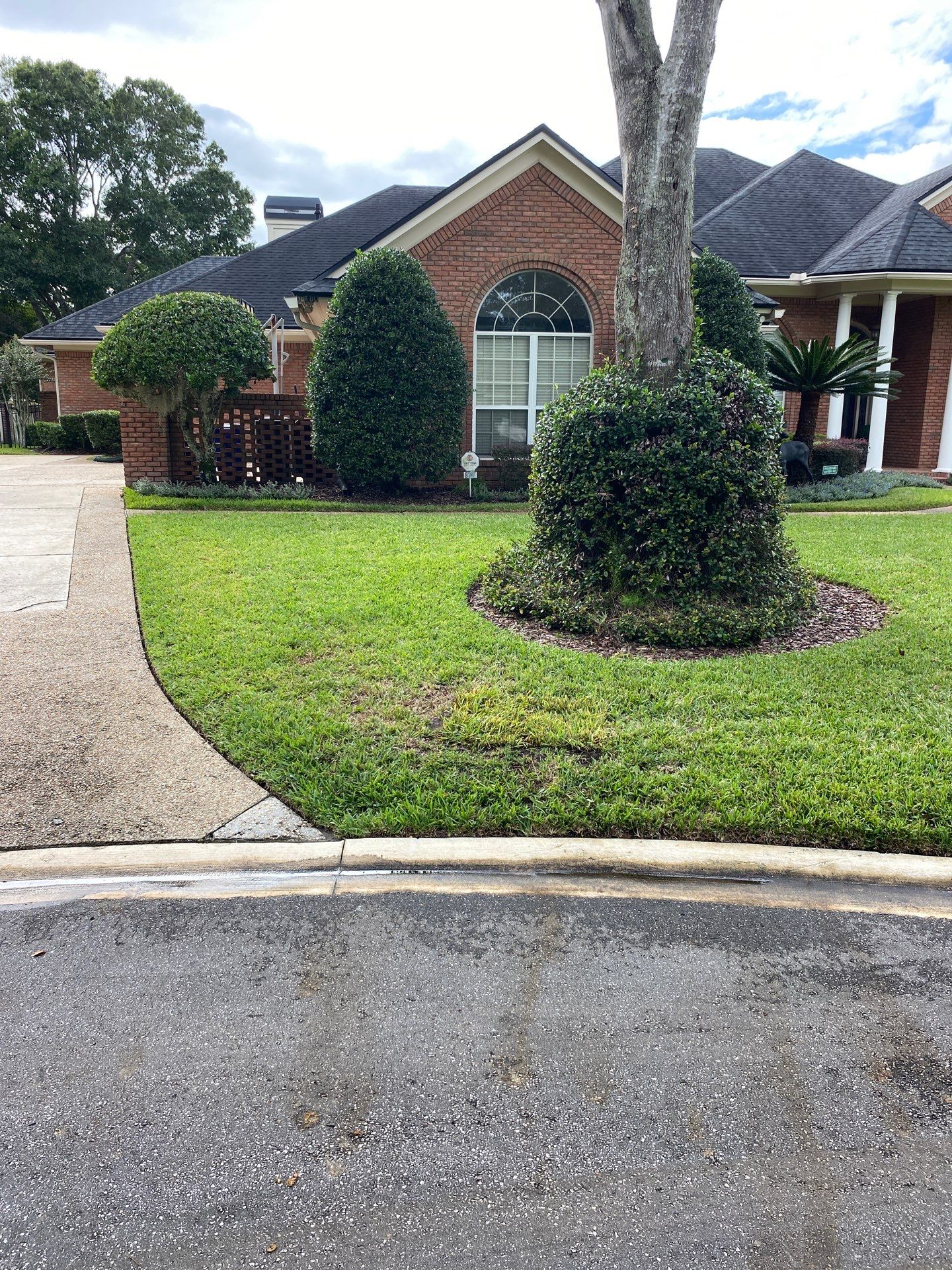 Deerwood Resident | Sod Replacement by ProGreen Services