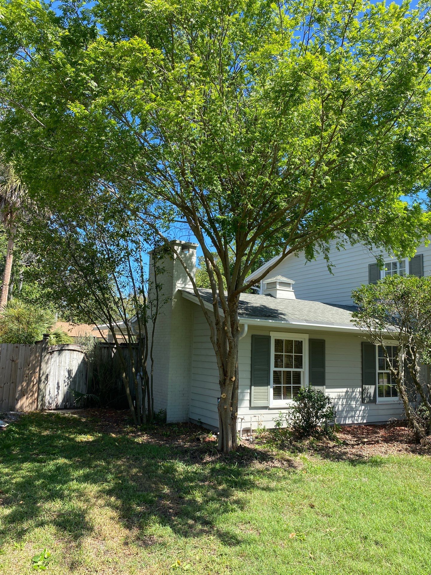 Residential | Tree Removal & Trimming by ProGreen Services