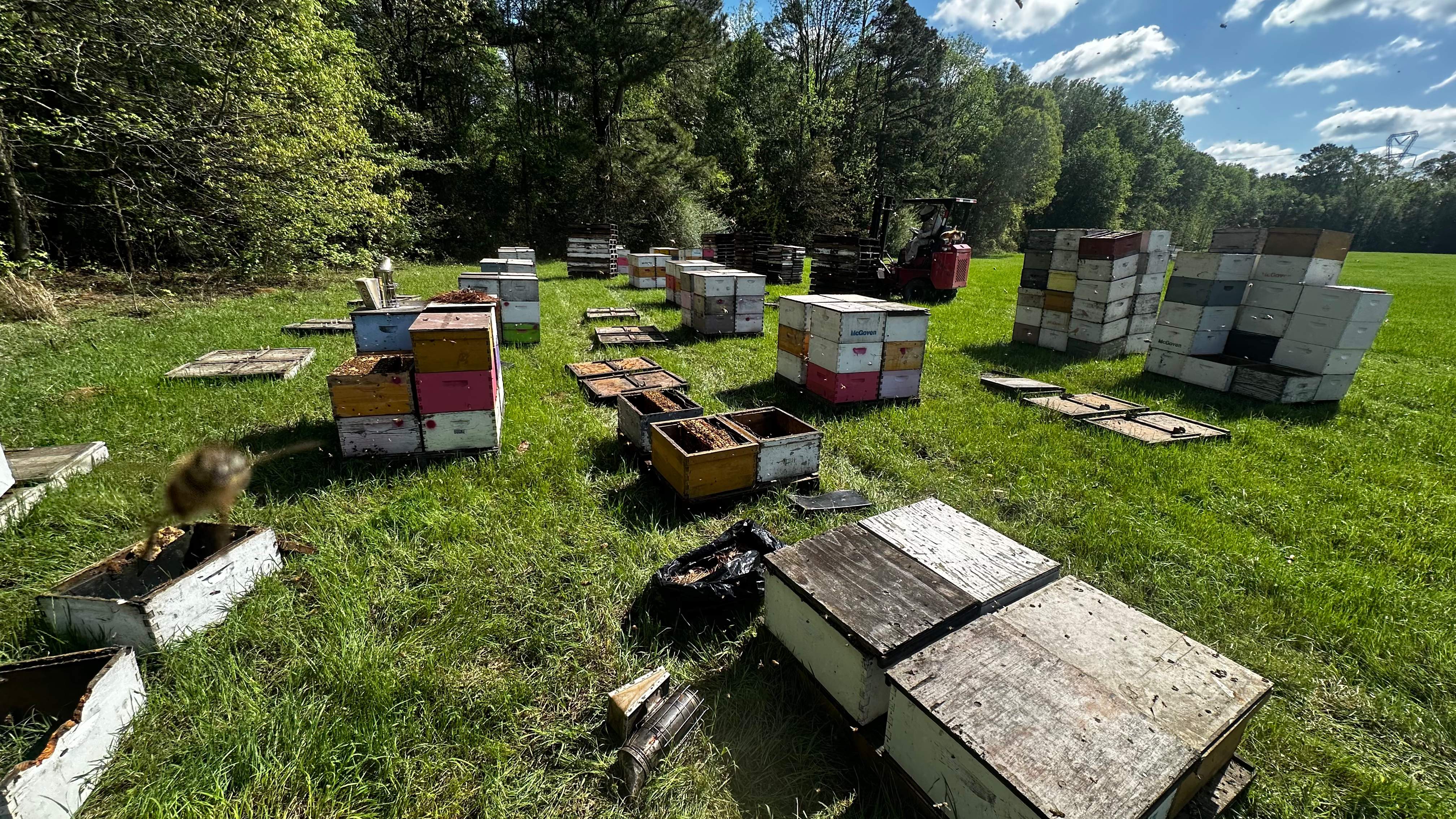 Traylor's Hay Meadow Apiary by Rockwall Honey Bee Company