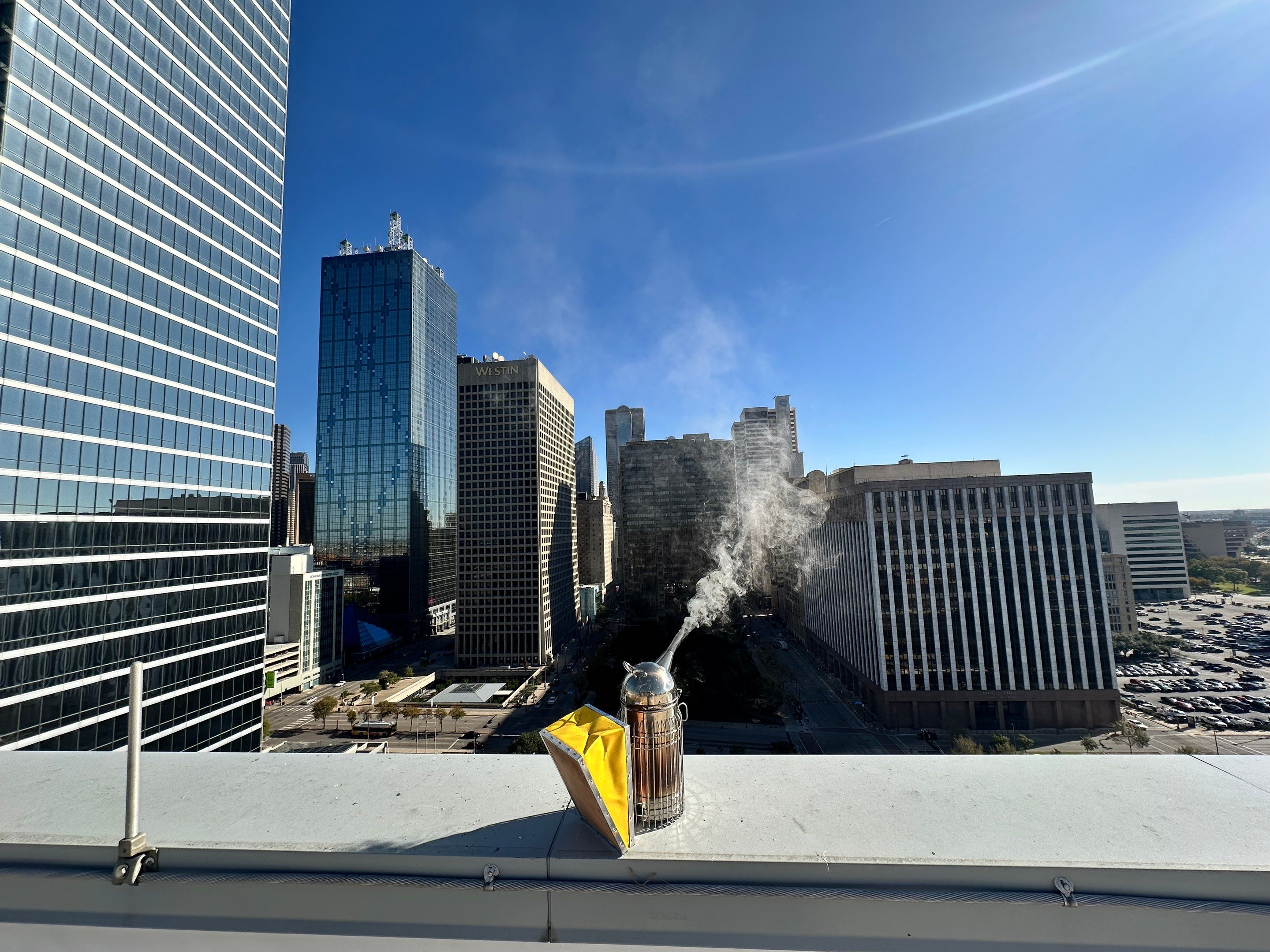 Downtown Dallas by Rockwall Honey Bee Company