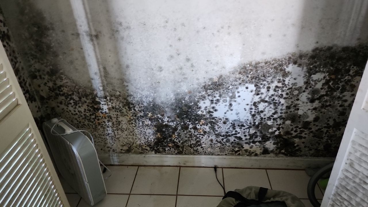 Damage caused from leaking water hea  er by Building performance Solutions LLC