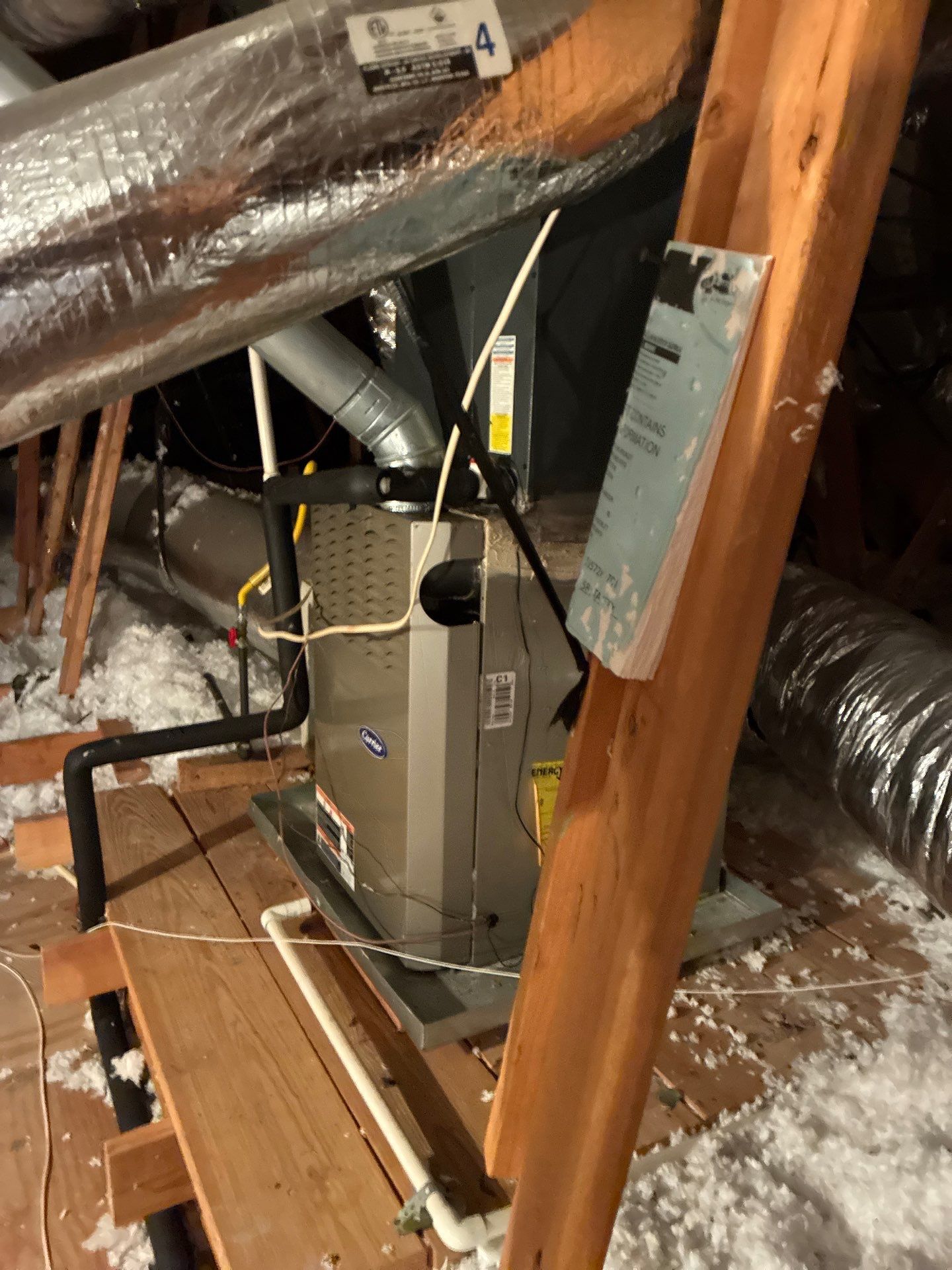 LYNA L by Boss Hogg Roofing