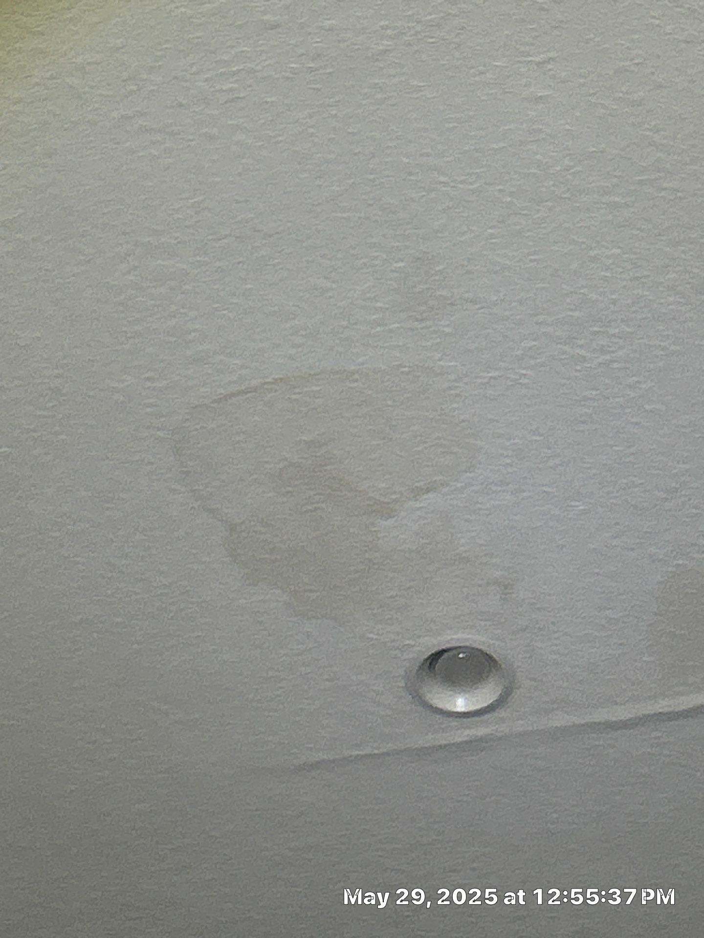 Water Damage Repair In Riverview by Ampm Restoration Services
