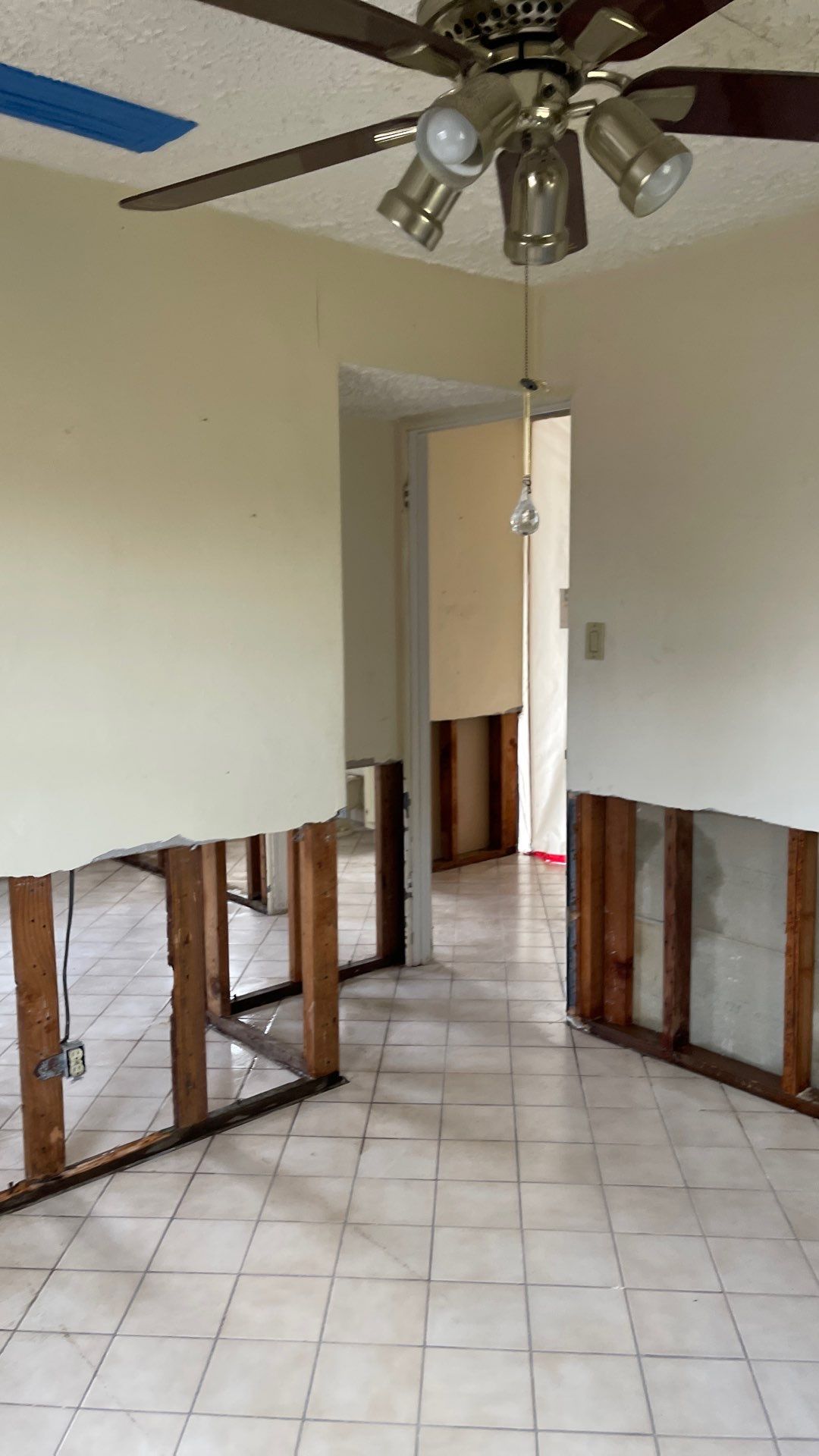 Mold Remediation  by THE RAPID TEAM