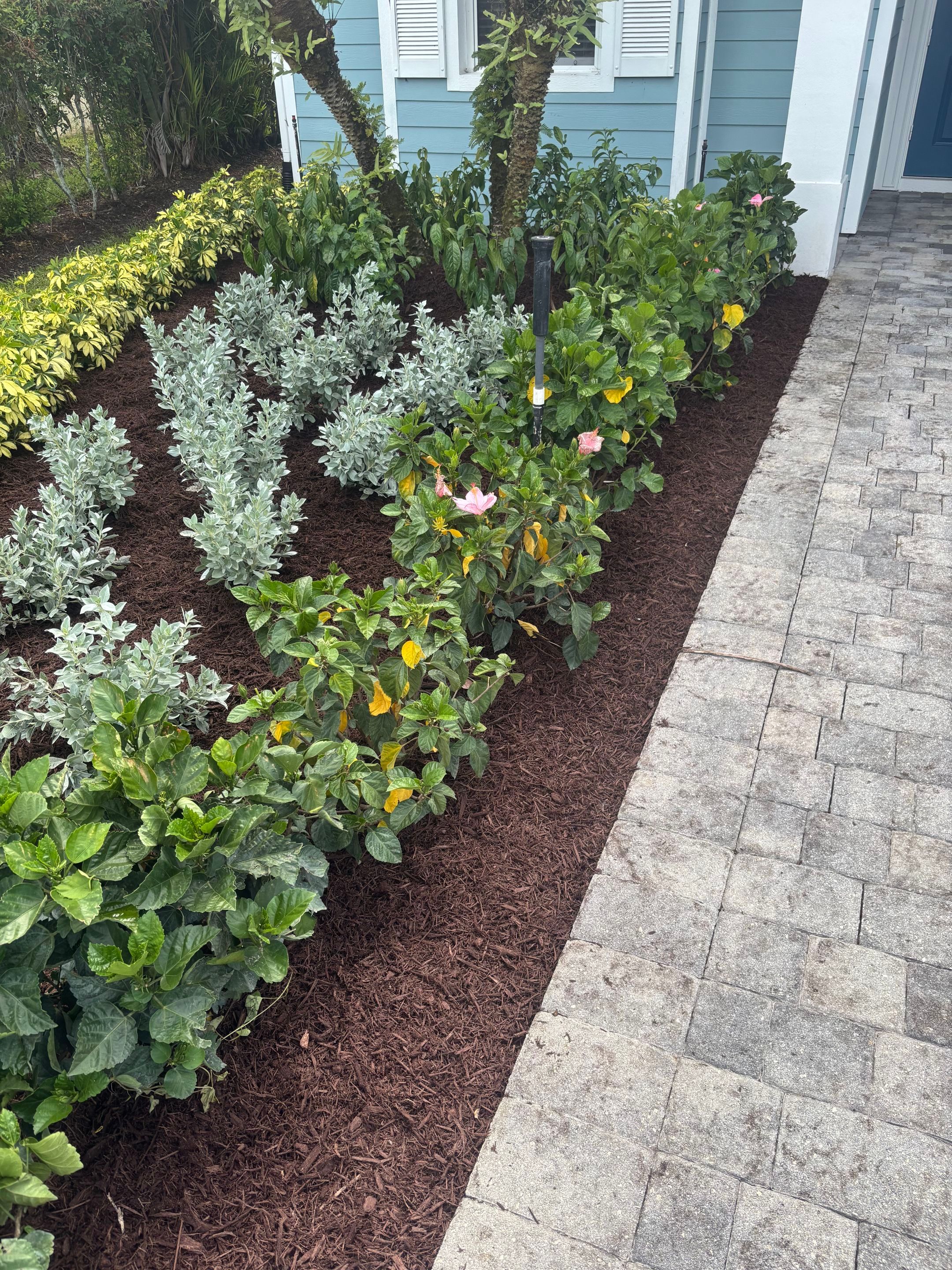 🌴✨ North River Shores Landscape Transformation ✨🌴 by Alpha Zeta Enterprises Inc