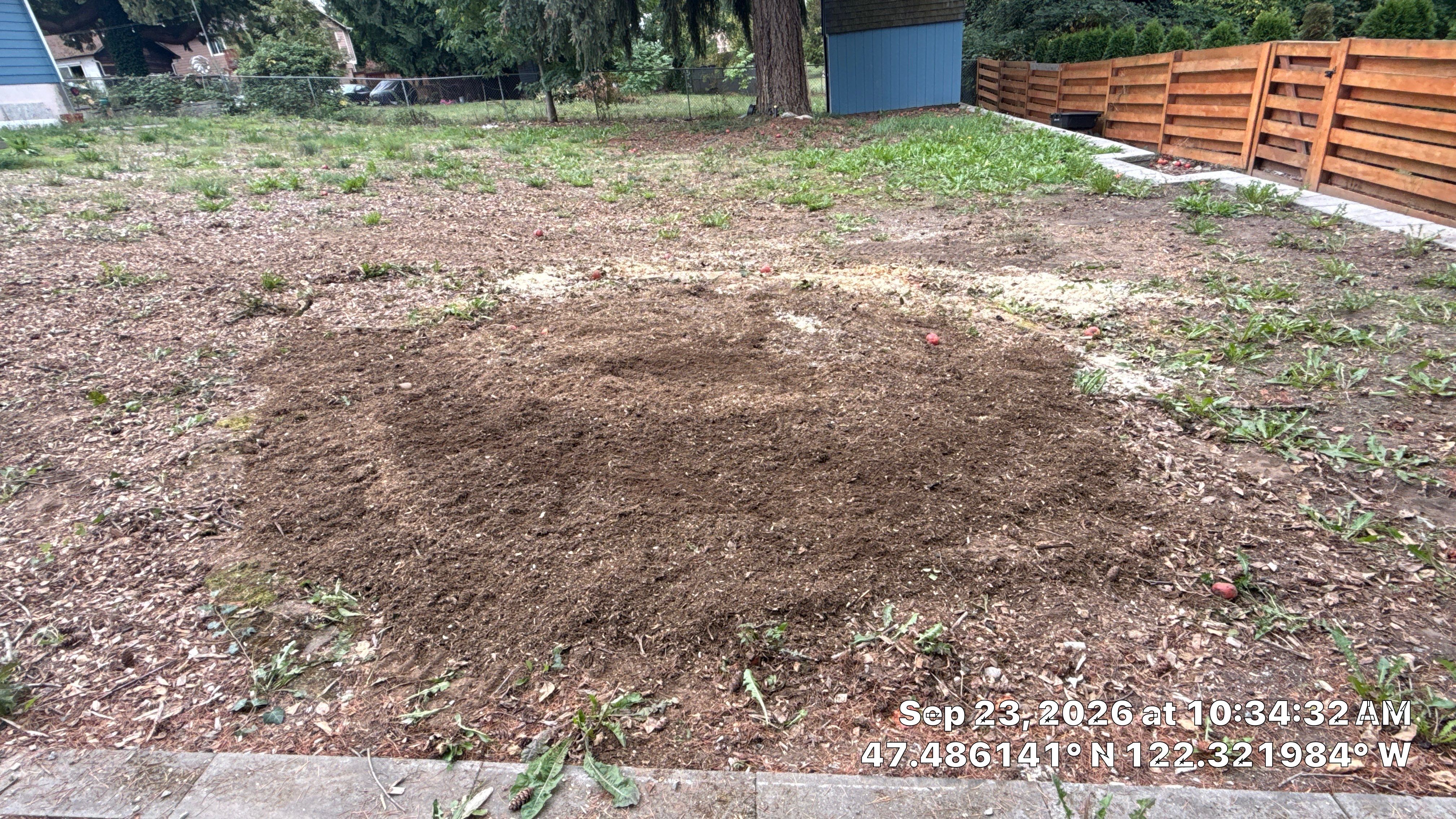 Burien Apple Tree Removal, Stump Grinding & Fir Branch Pruning by Sound Tree Care LLC