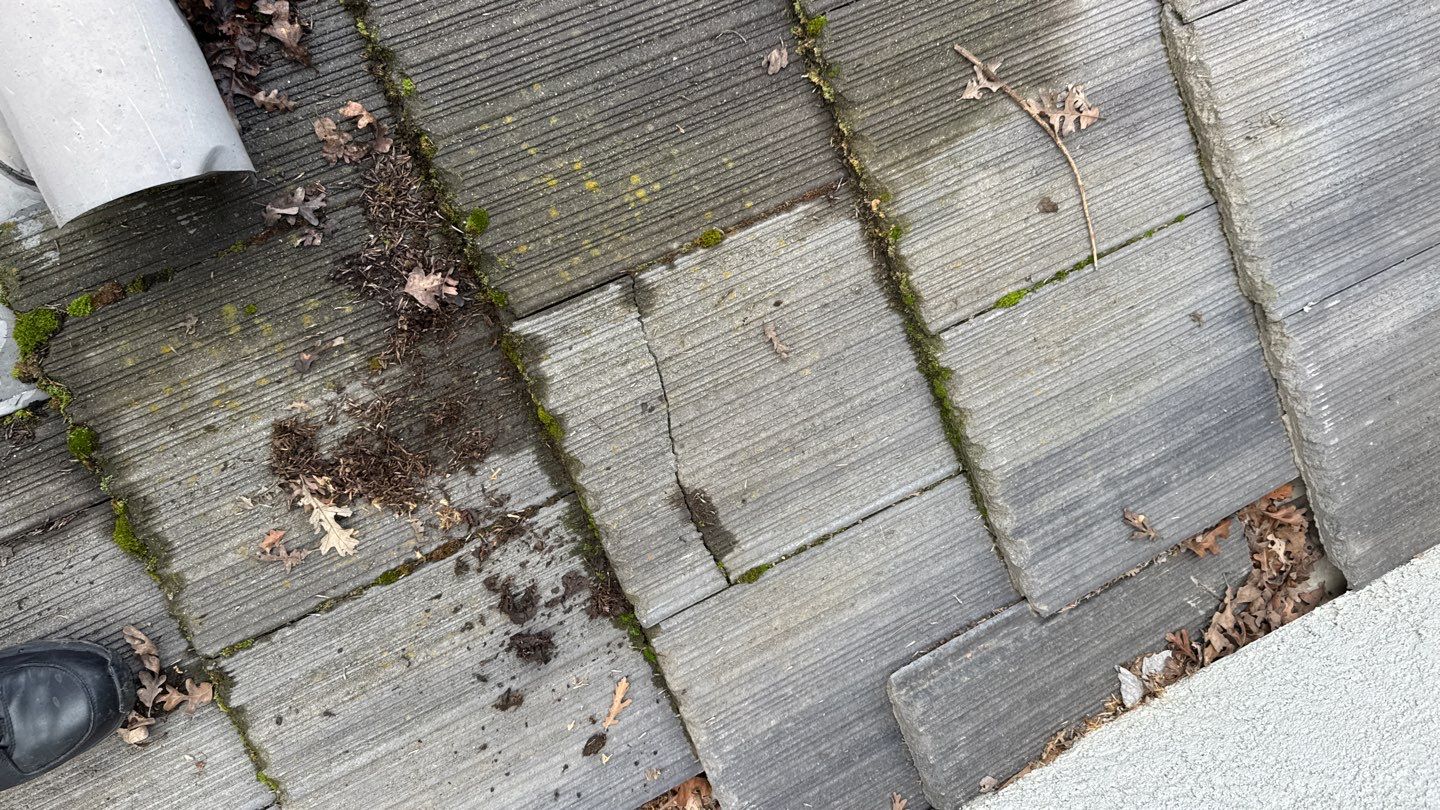 Project by NuLead Construction Inc by NuLead Construction Inc