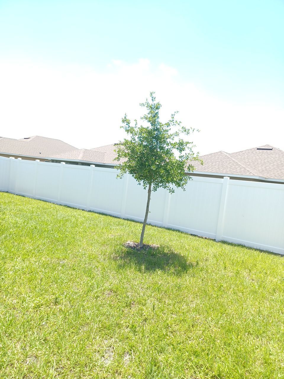 Wimauma, FL 6ft. Tall White Vinyl Privacy Fence   by Asap fence and gates, LLC