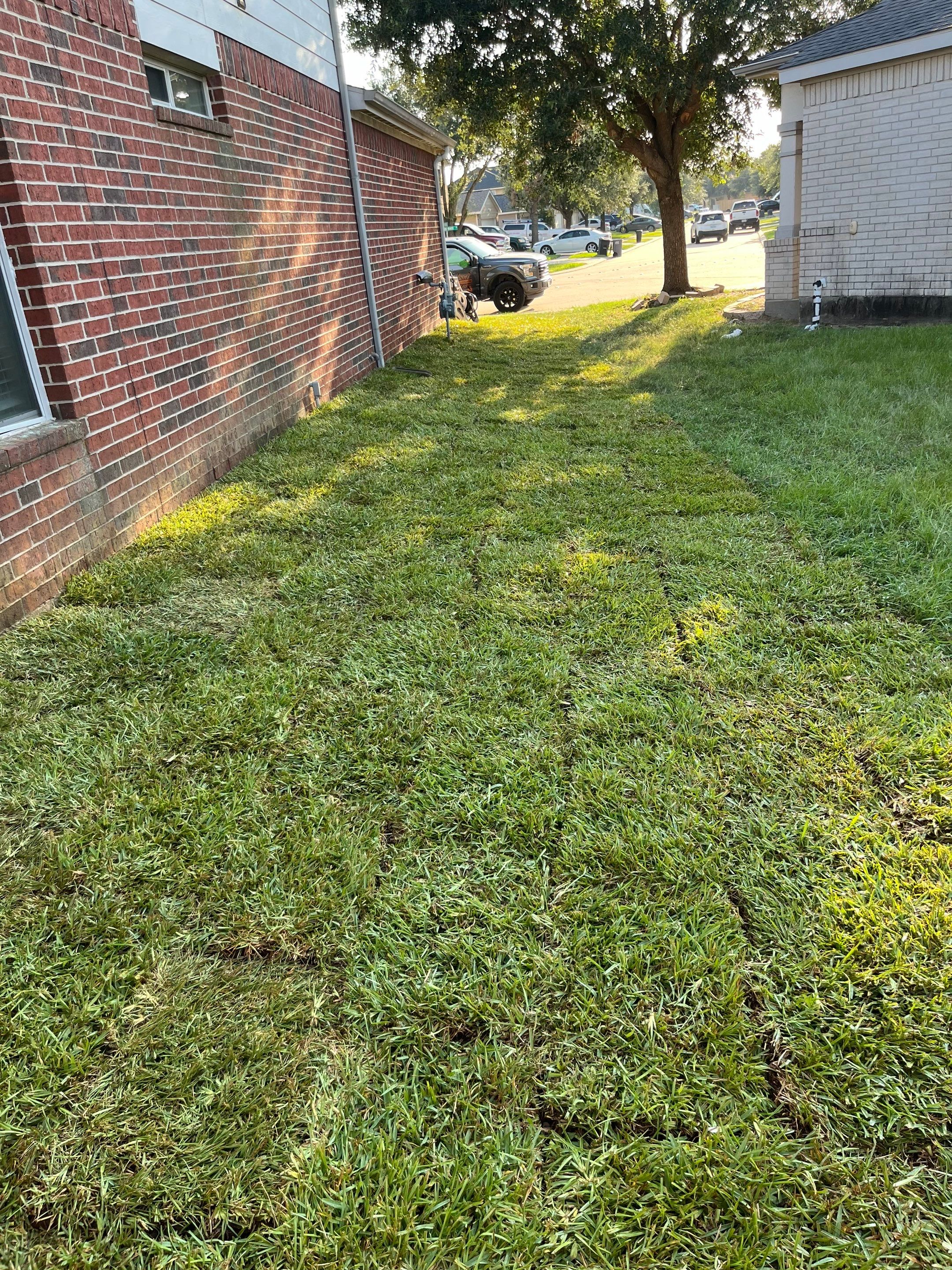 Sandra — Front & Backyard Leveling, Drainage, and Sod Transformation by Texas Urban Elements