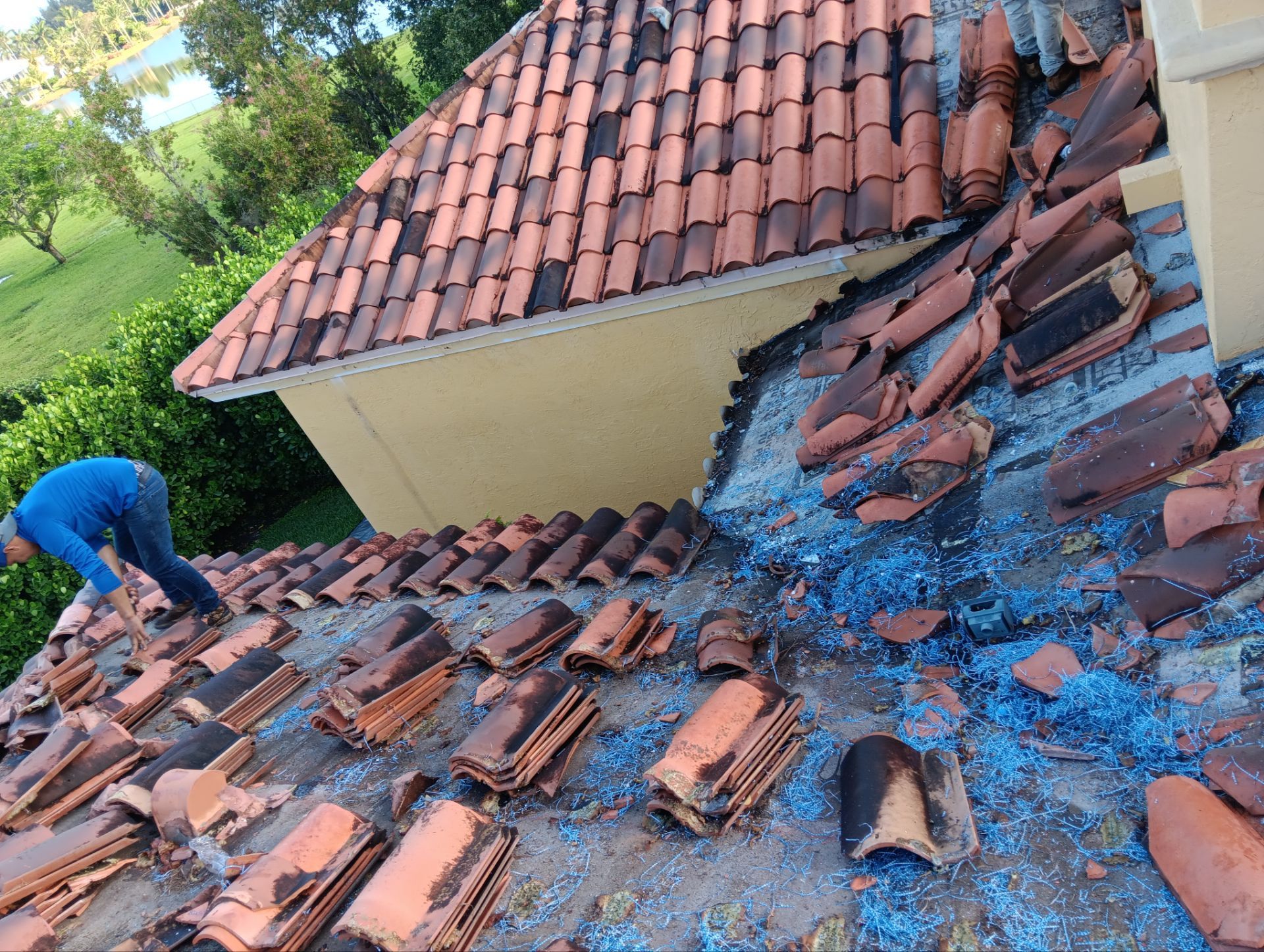 Metal Roof in Davie by Roofing Recovery