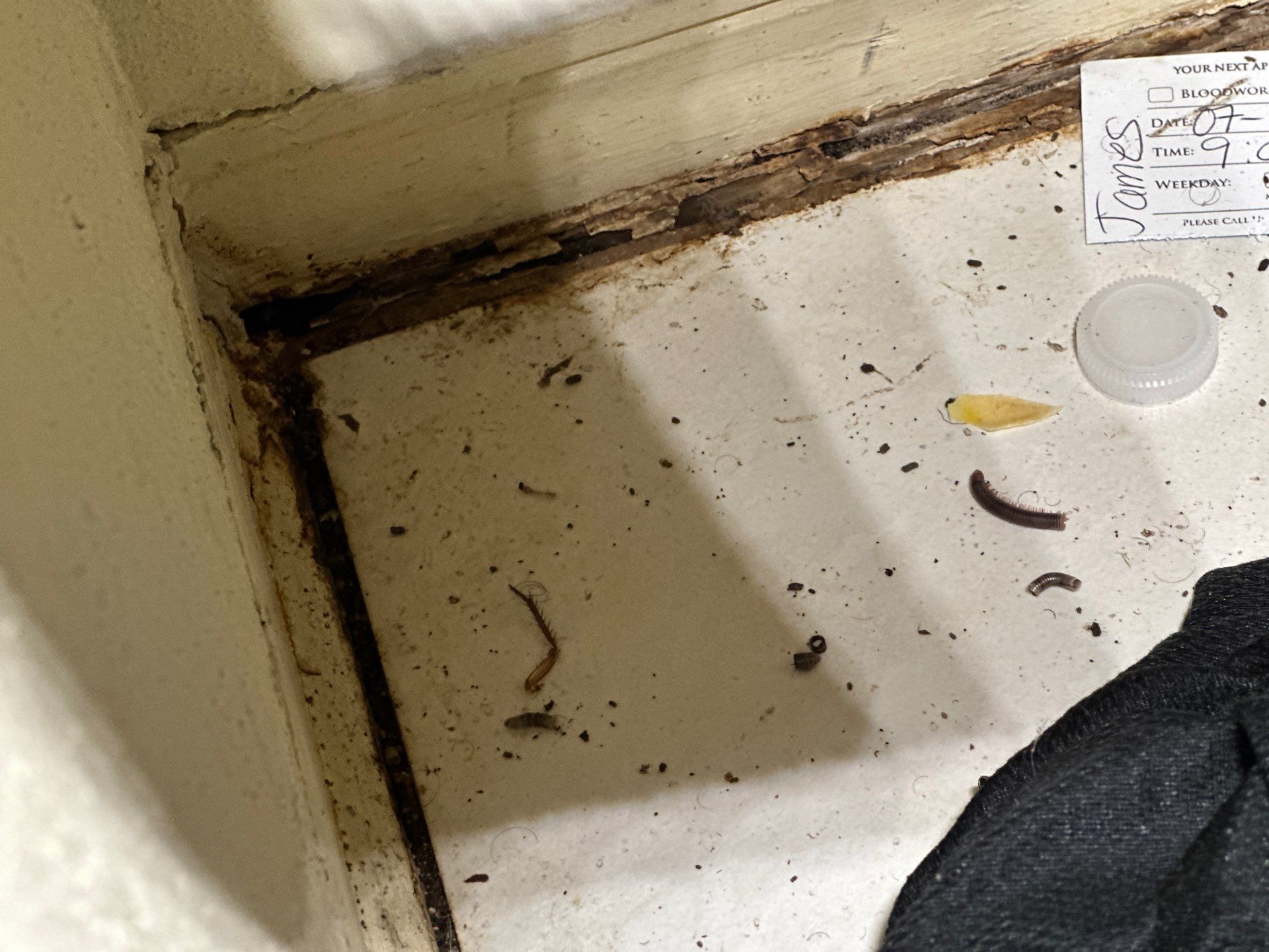Water Damage Claim in Lauderdale Lakes by FLAPA & KeyStone