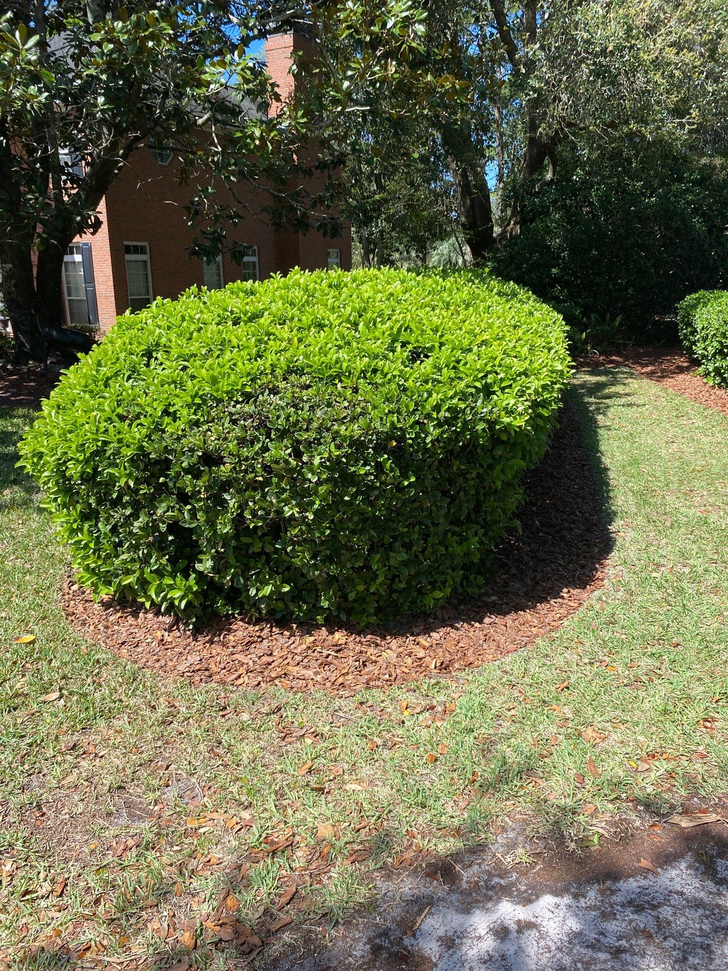 Deerwood Resident | Pine Bark Install by ProGreen Services