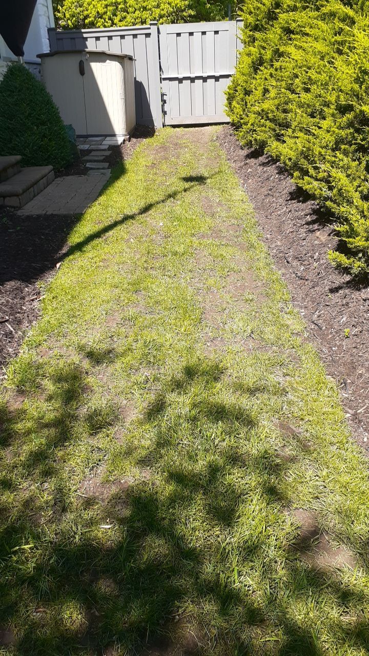 Back Yard Pool Sidewalk and Landscape by LAND ESCAPES LLC