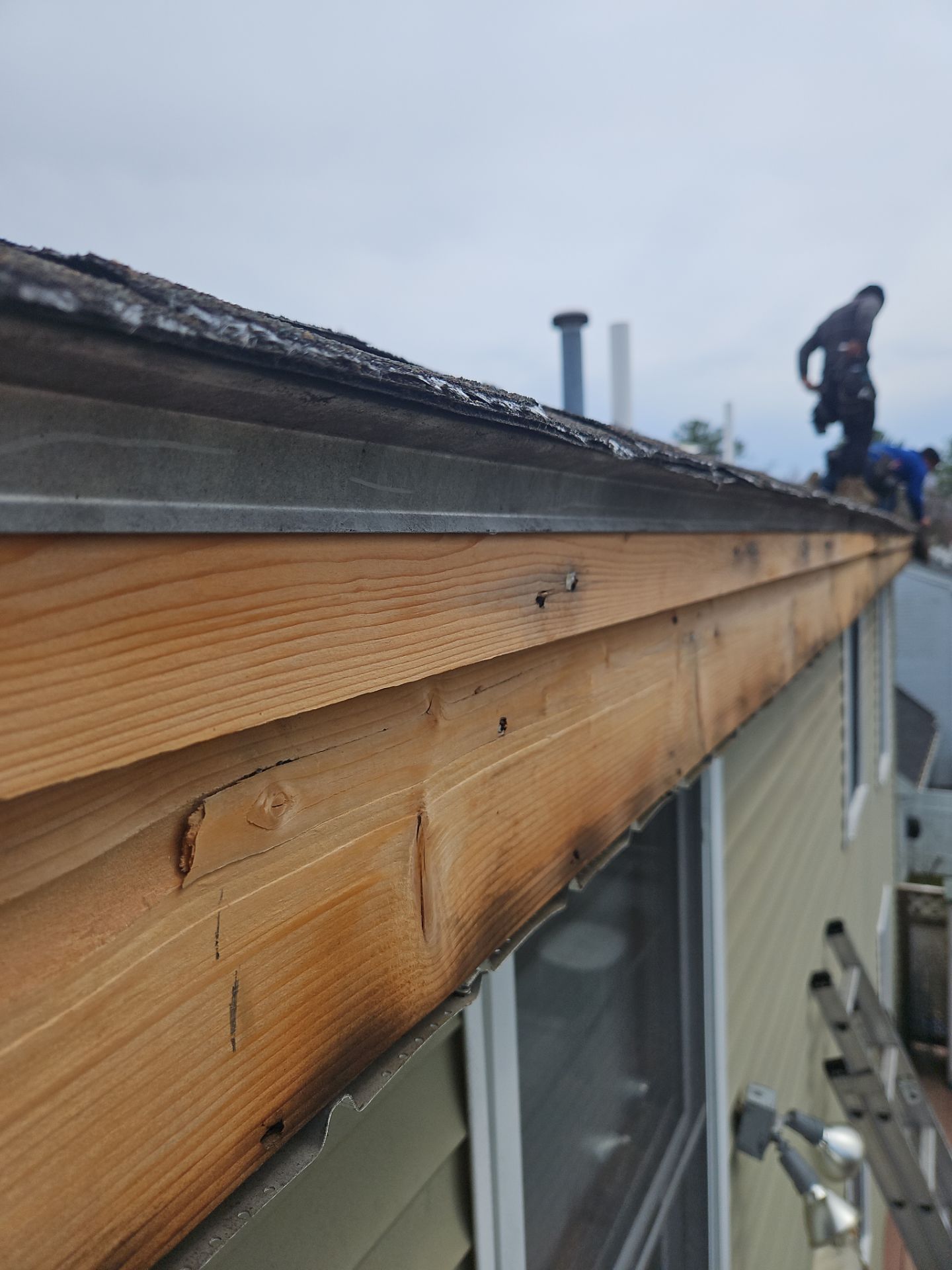 Roof Repair & Fascia Trim Work in Lowell, MA by Mighty Dog Roofing of Greater Middlesex County