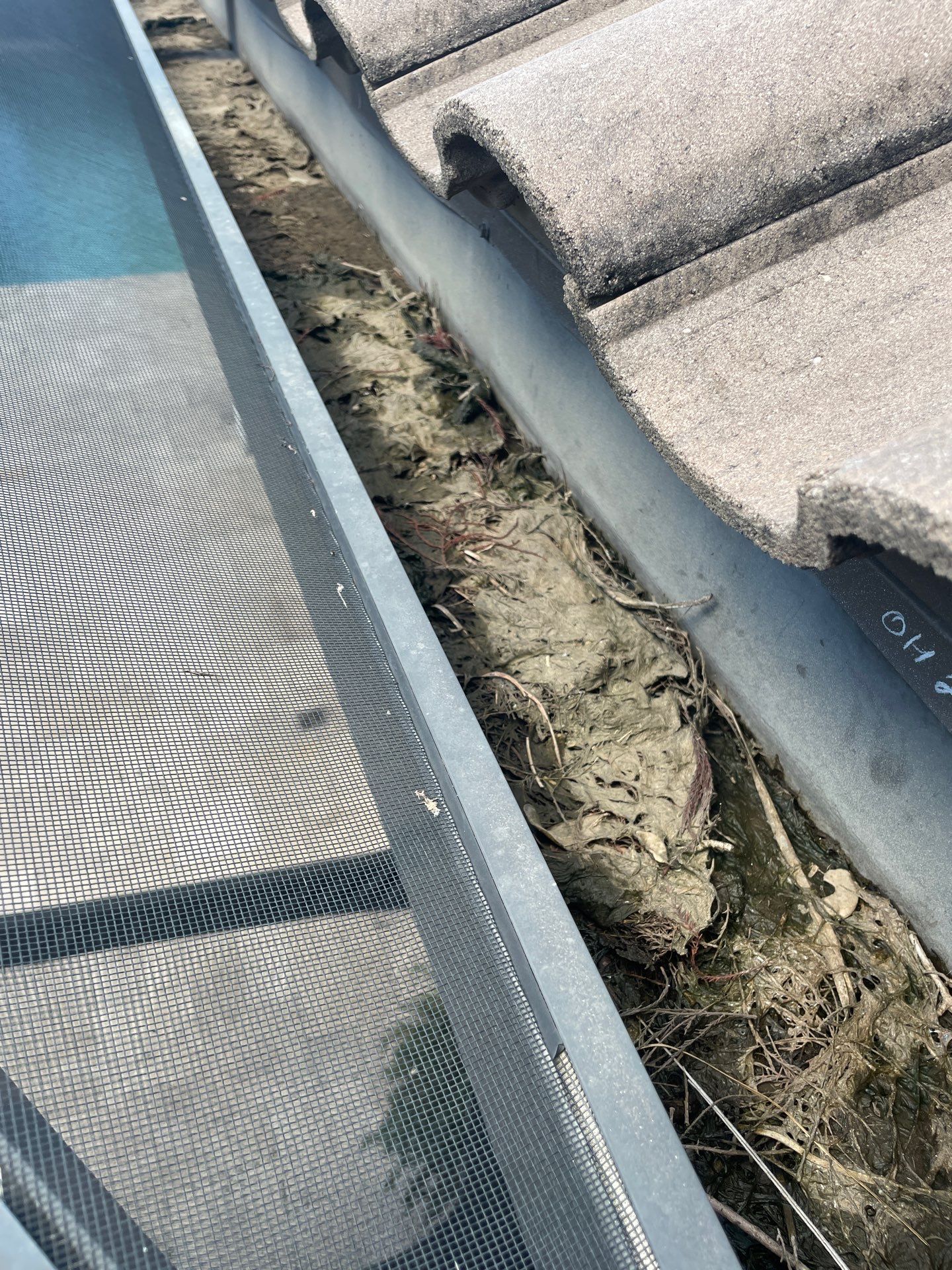 Gutter Cleaning Service in Bradenton FL by Gutter Professors