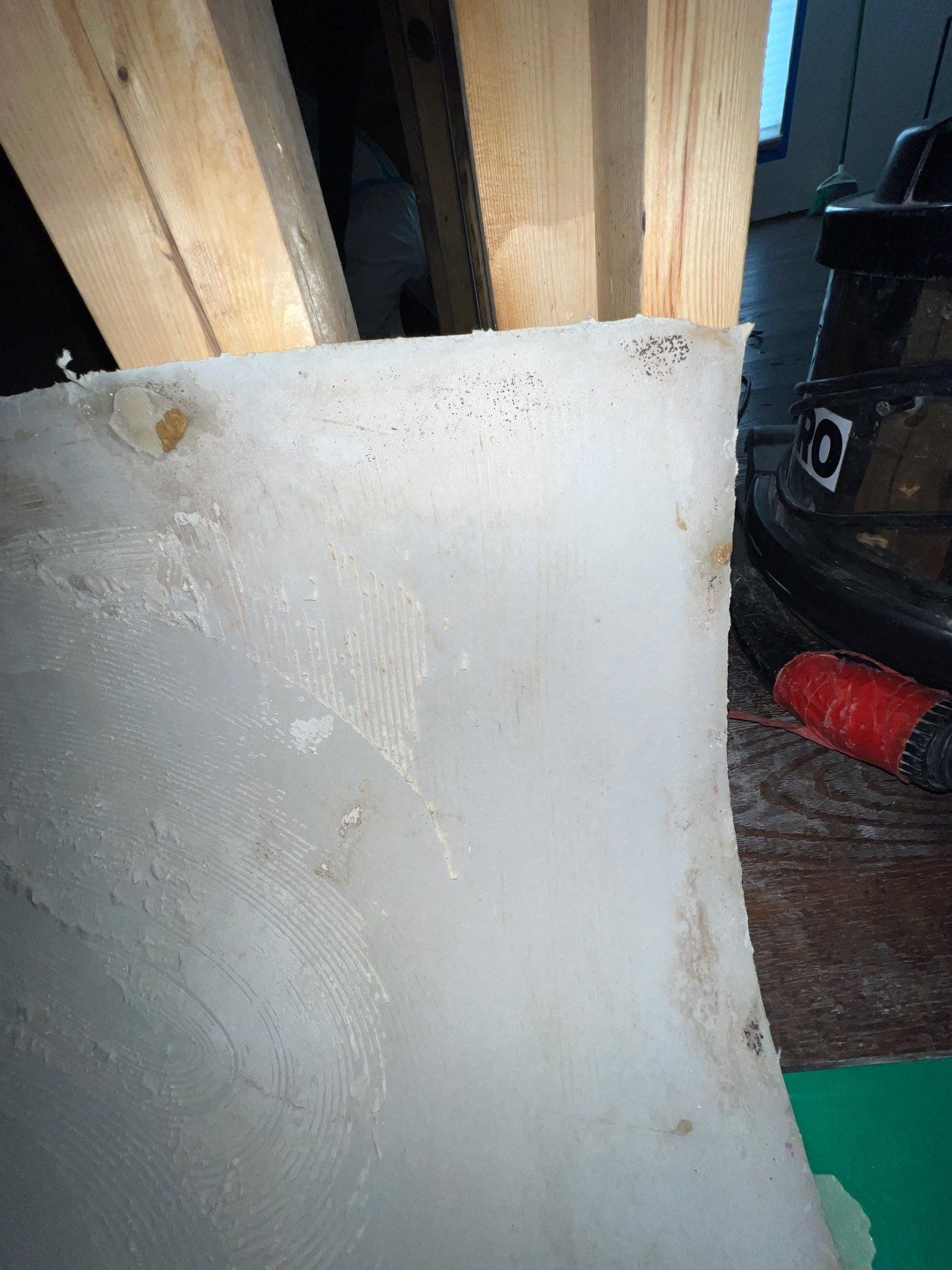 Stansell - water and mold photos  by THE RAPID TEAM