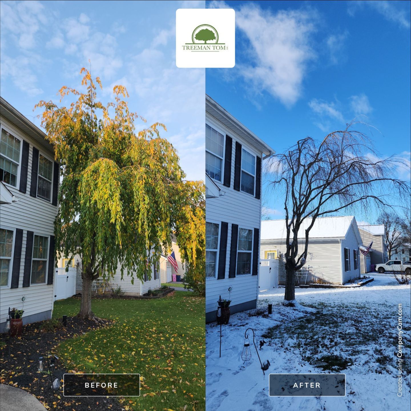 Prune with PHC by Treeman Tom LLC