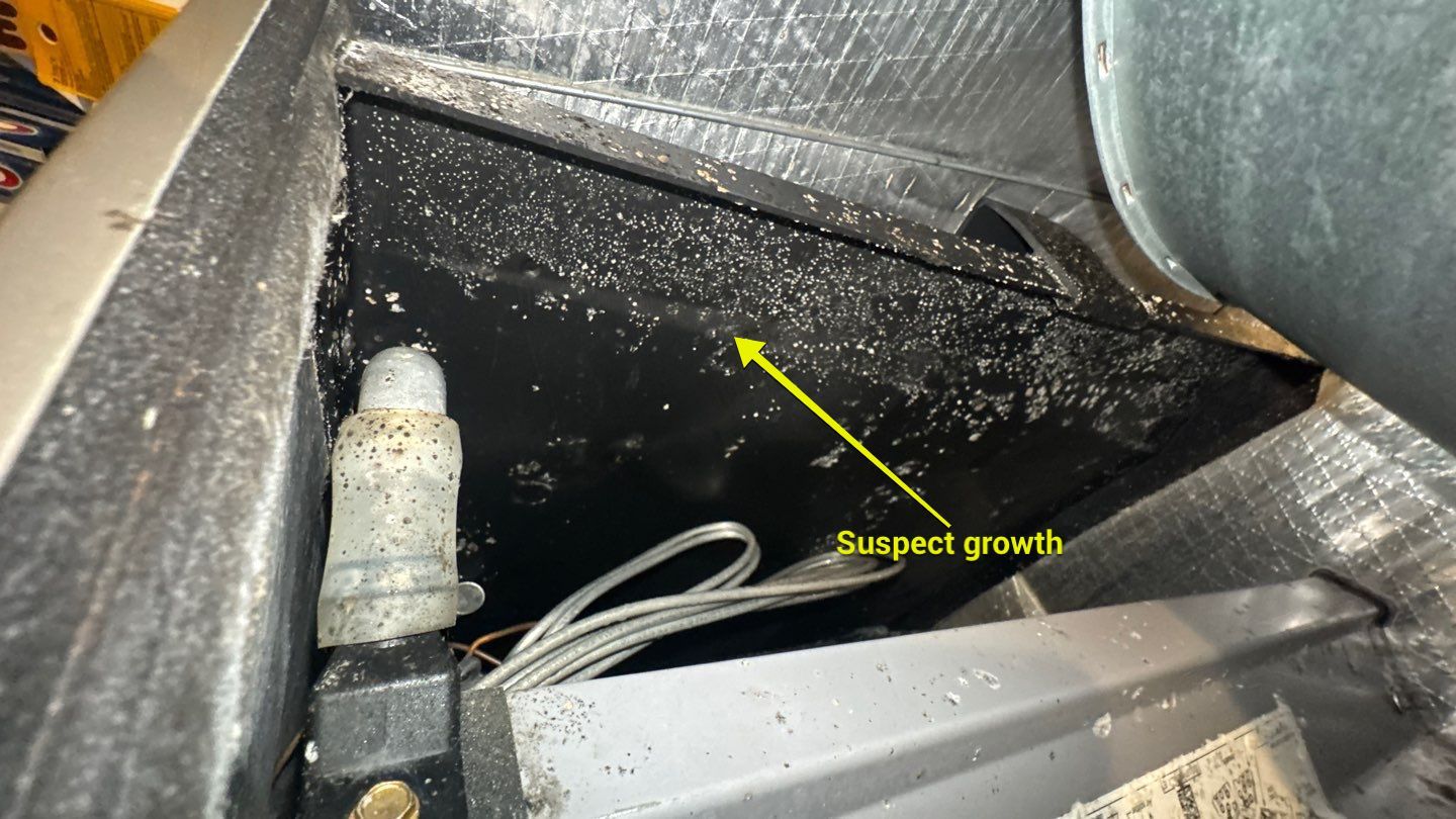 Air Duct Cleaning in Groveland by Hygienic Air, Inc
