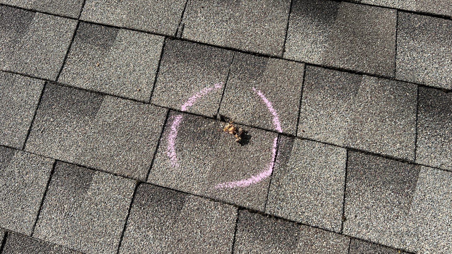 Winter storm 2023 with tree damage by Oakwood Roofing and Construction, LLC