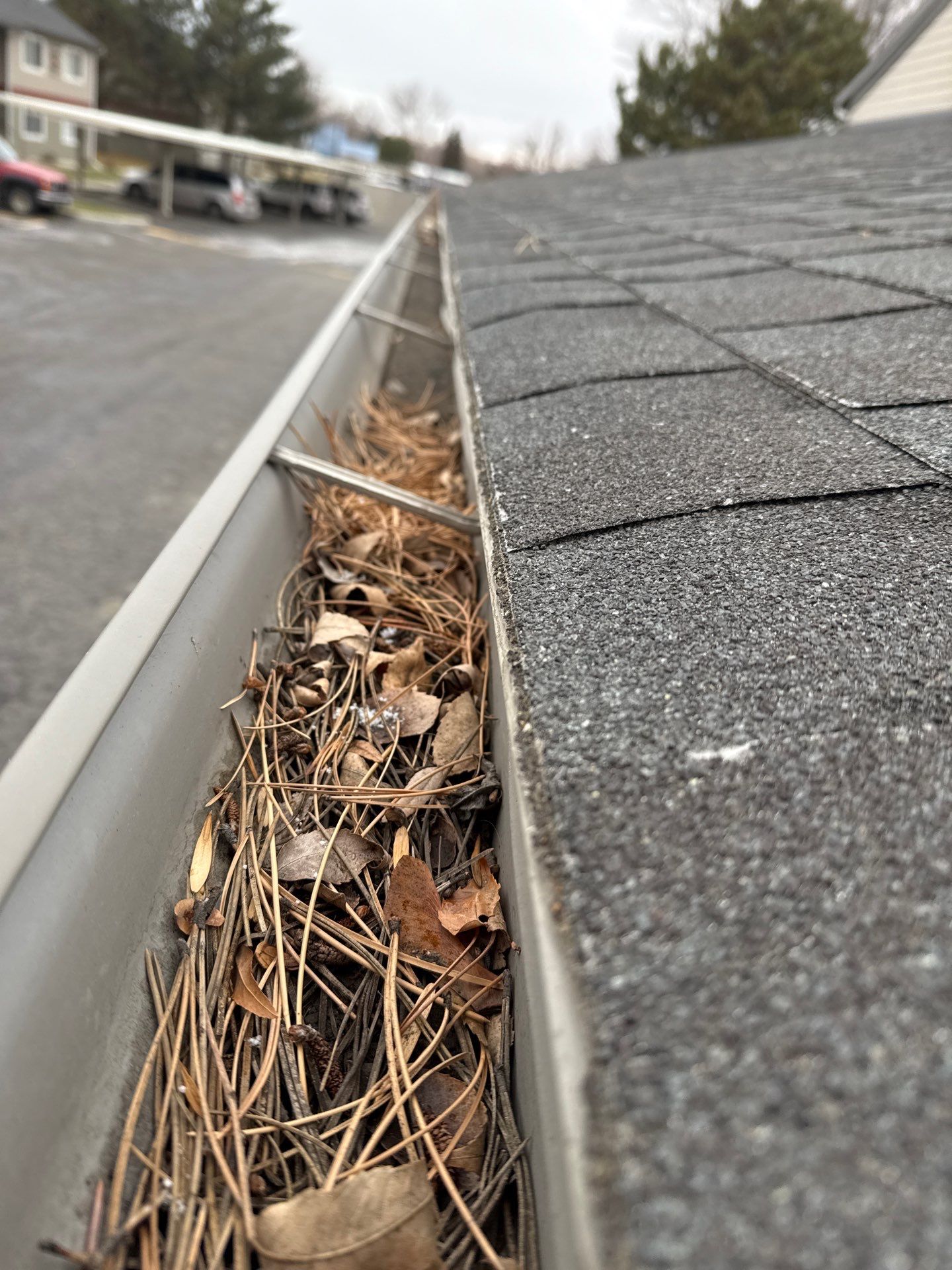 Commercial gutter cleaning Billings, MT before photo with filled gutters