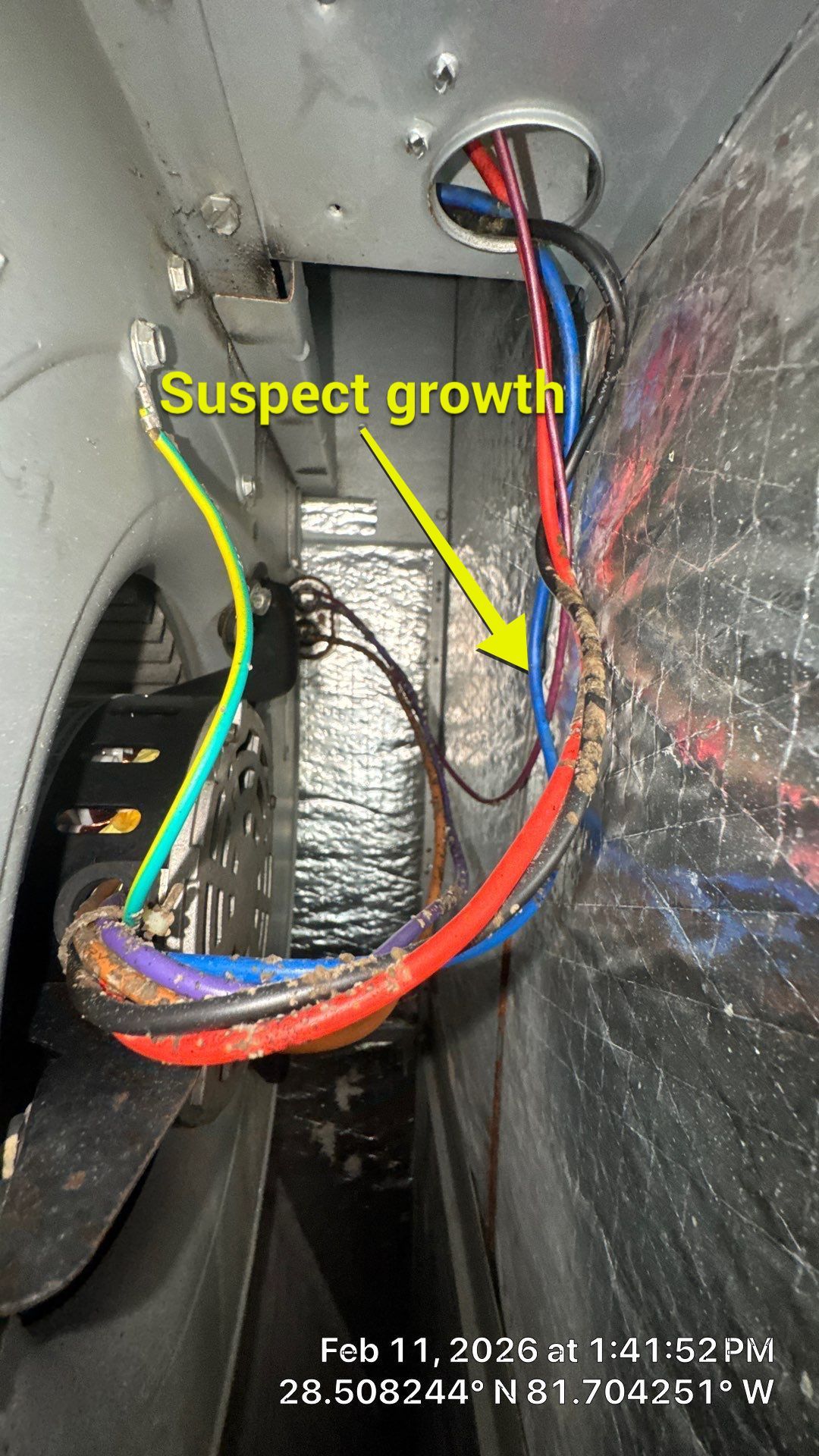 Air Duct Cleaning Dryer Vent Repair Sealed Plenum Clermont by Hygienic Air, Inc