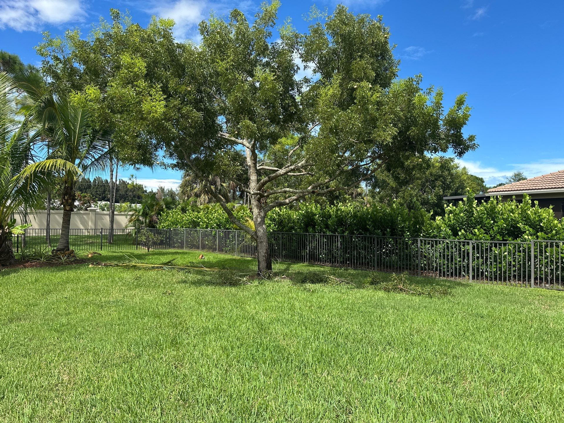 From Overgrown to Picture-Perfect - Stuart Refresh by Alpha Zeta Enterprises Inc