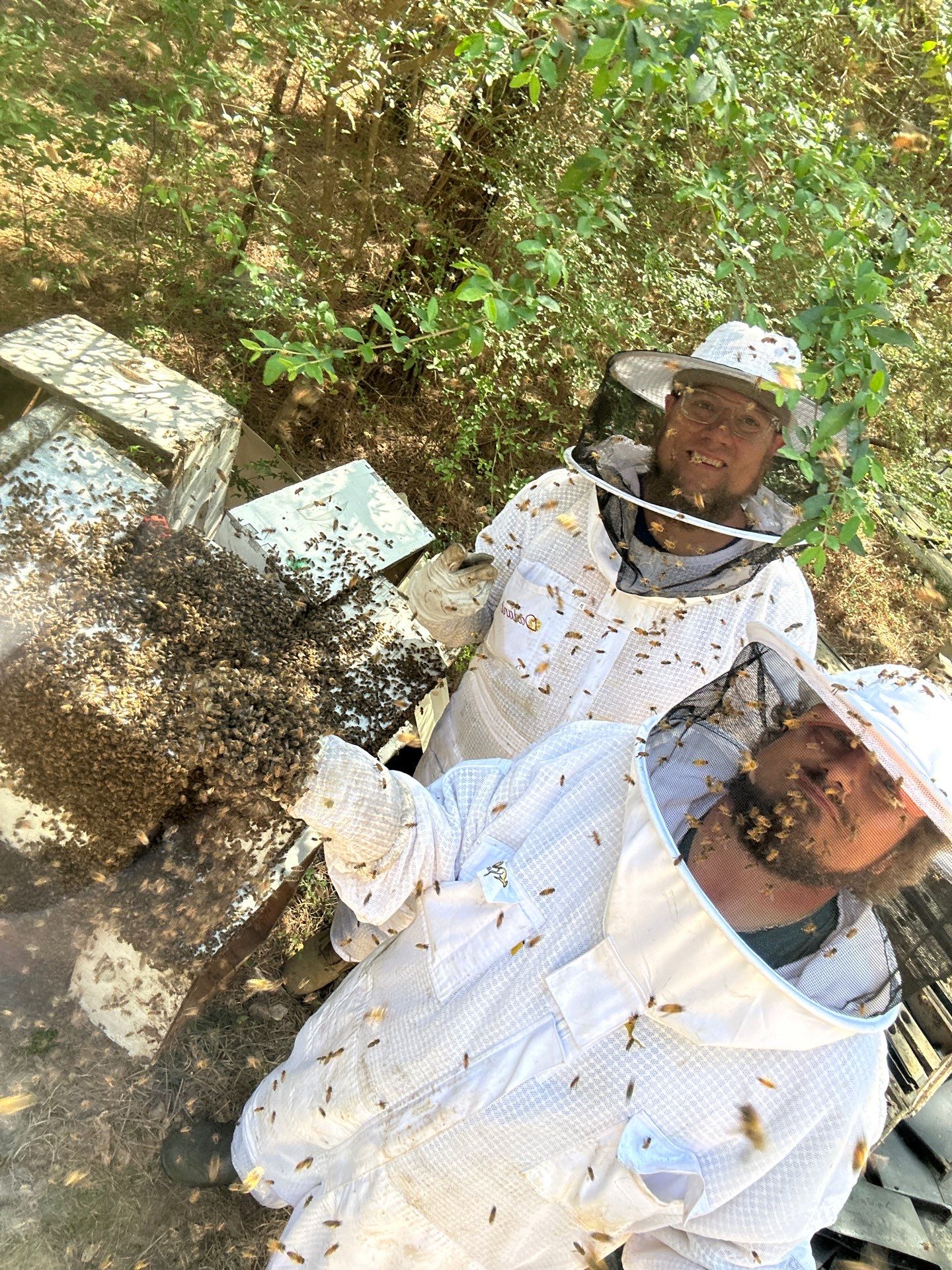 Tree Farm Apiary by Rockwall Honey Bee Company