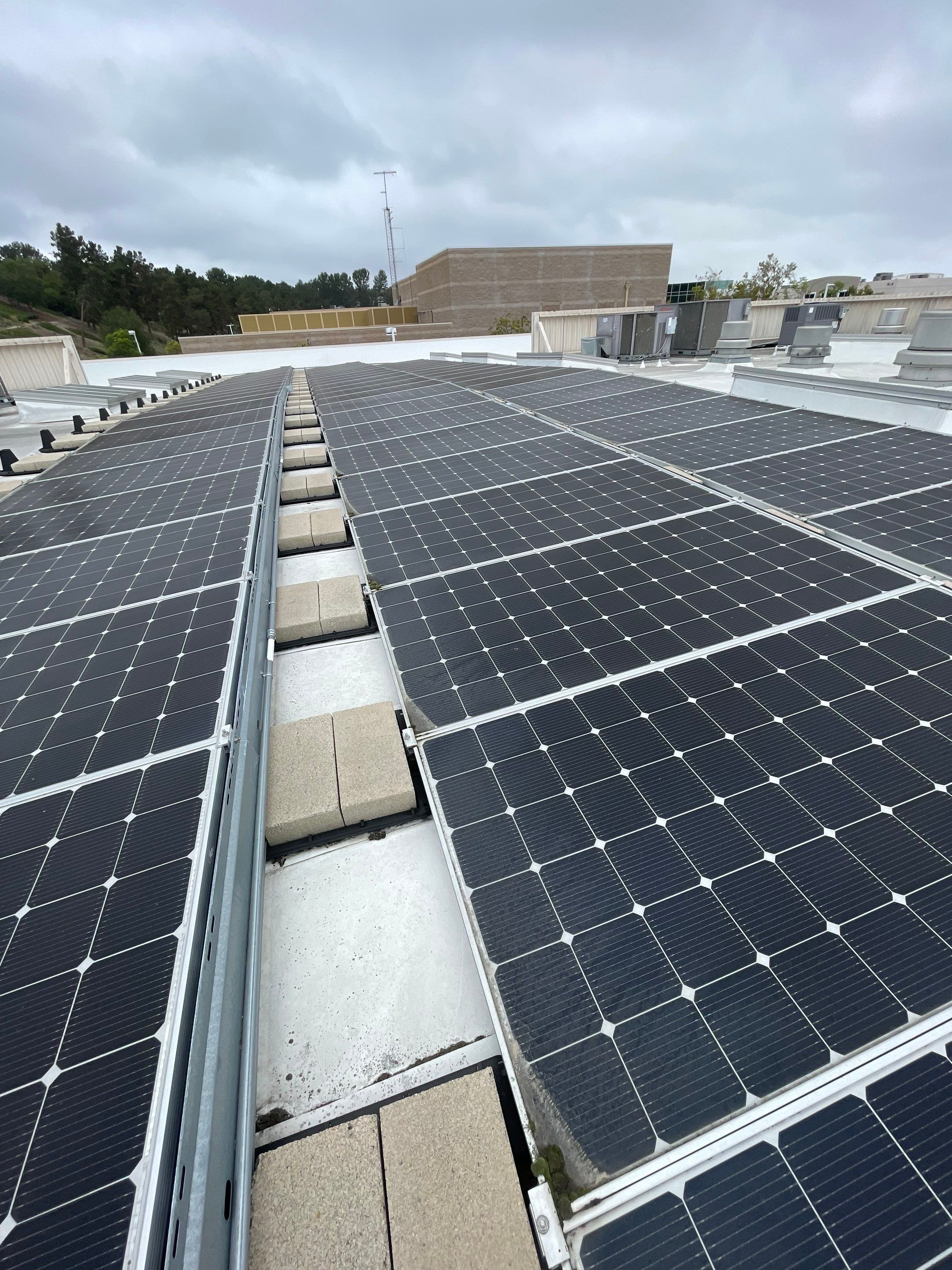 Commercial Solar Cleaning by Palm Coast Solar Cleaning