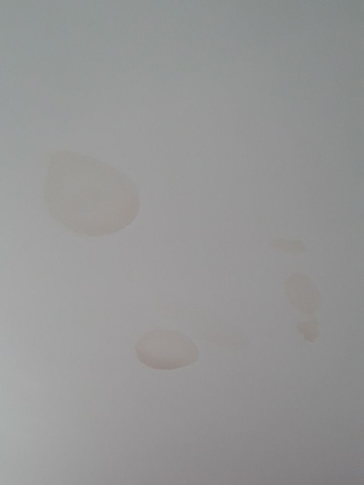 Woodbridge: CertainTeed Landmark Designer Shingles in Cottage Red by RM Banning, Inc.