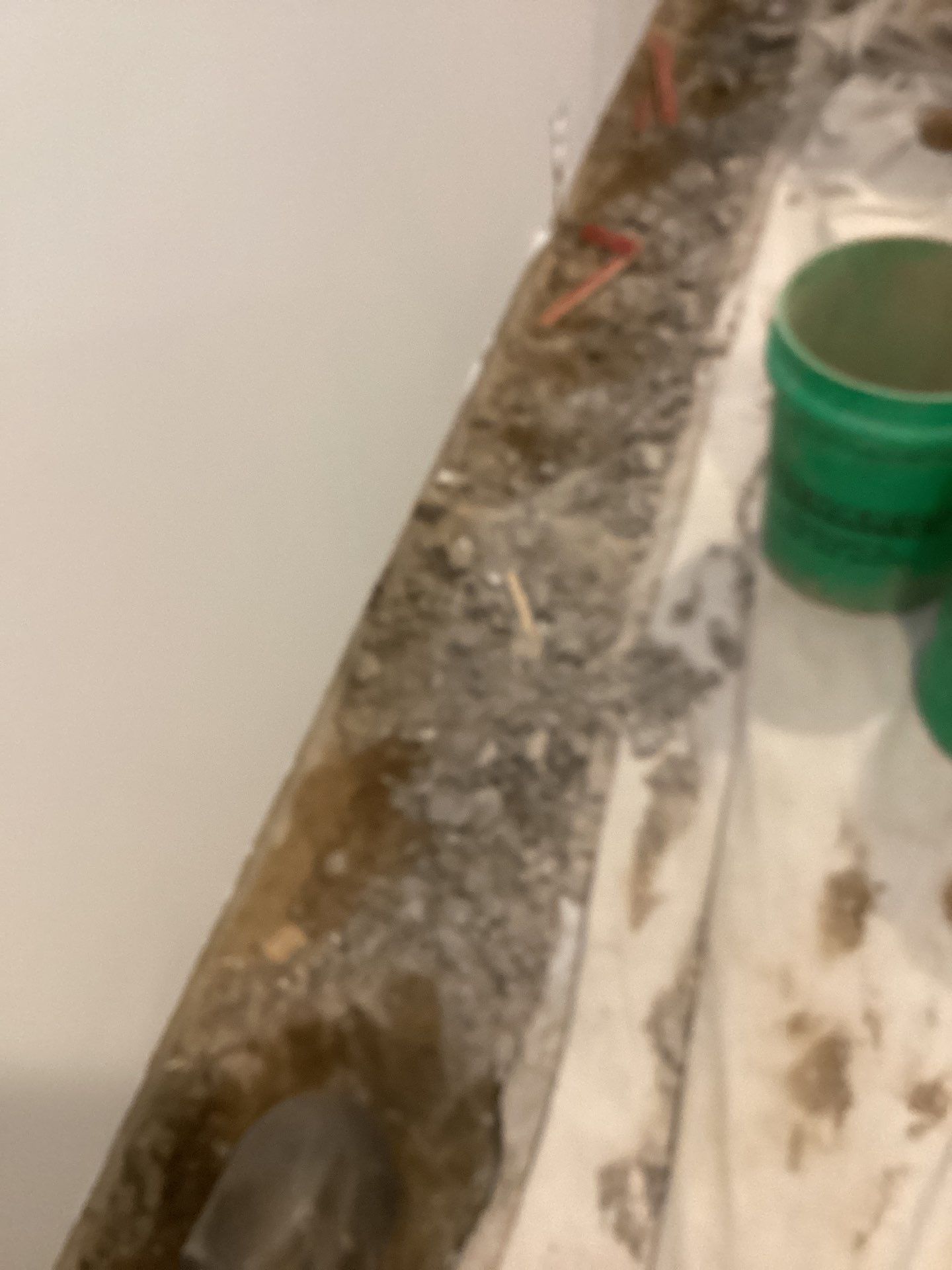 Mold Free Peace of Mind by Waterproofing Northeast