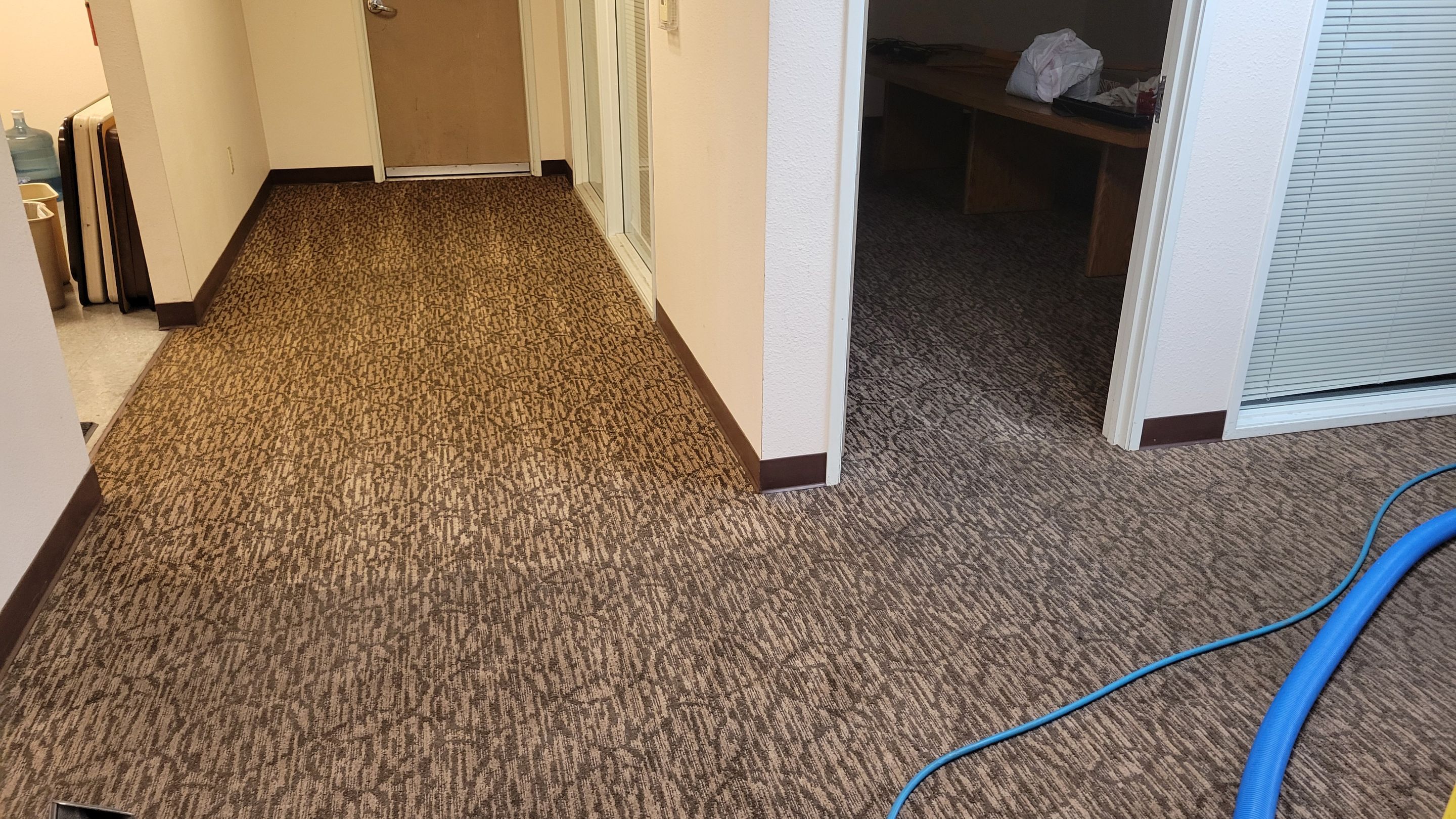 Buckled Commercial Glue Down Carpet by Ardent Carpet Restore LLC