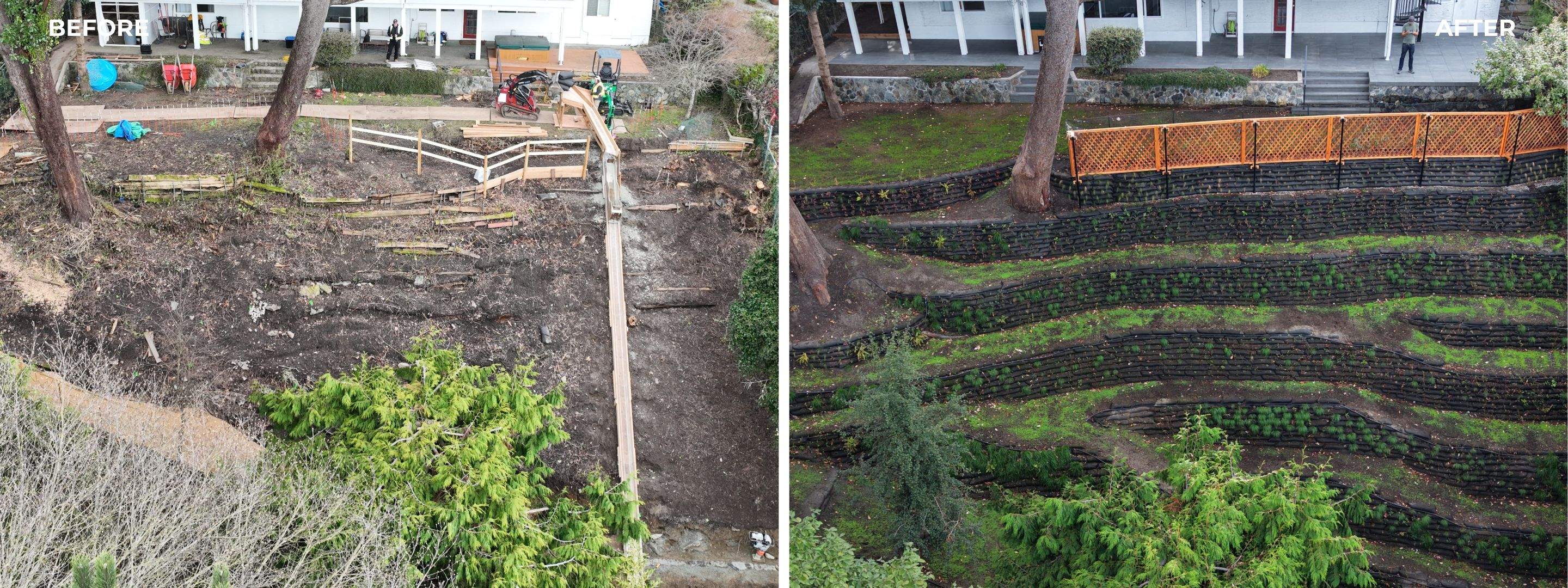 Georgia Park Terrace — Living Slope Transformation by Habanero Landscape Solutions