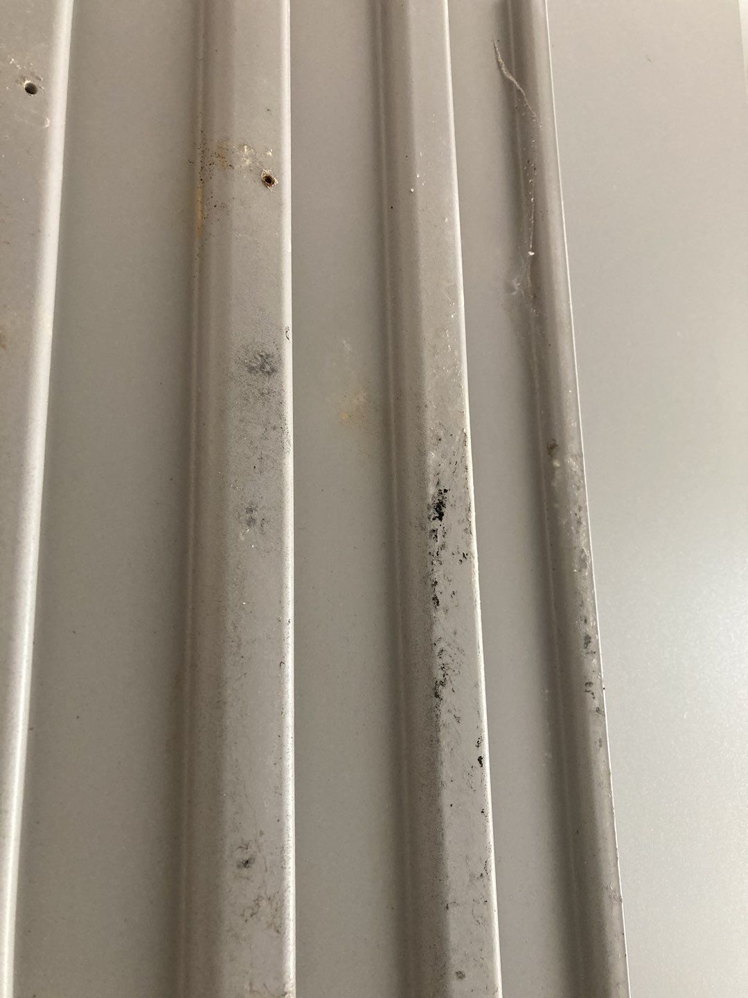 Mold Remediation using Containment by Accountable Home Services