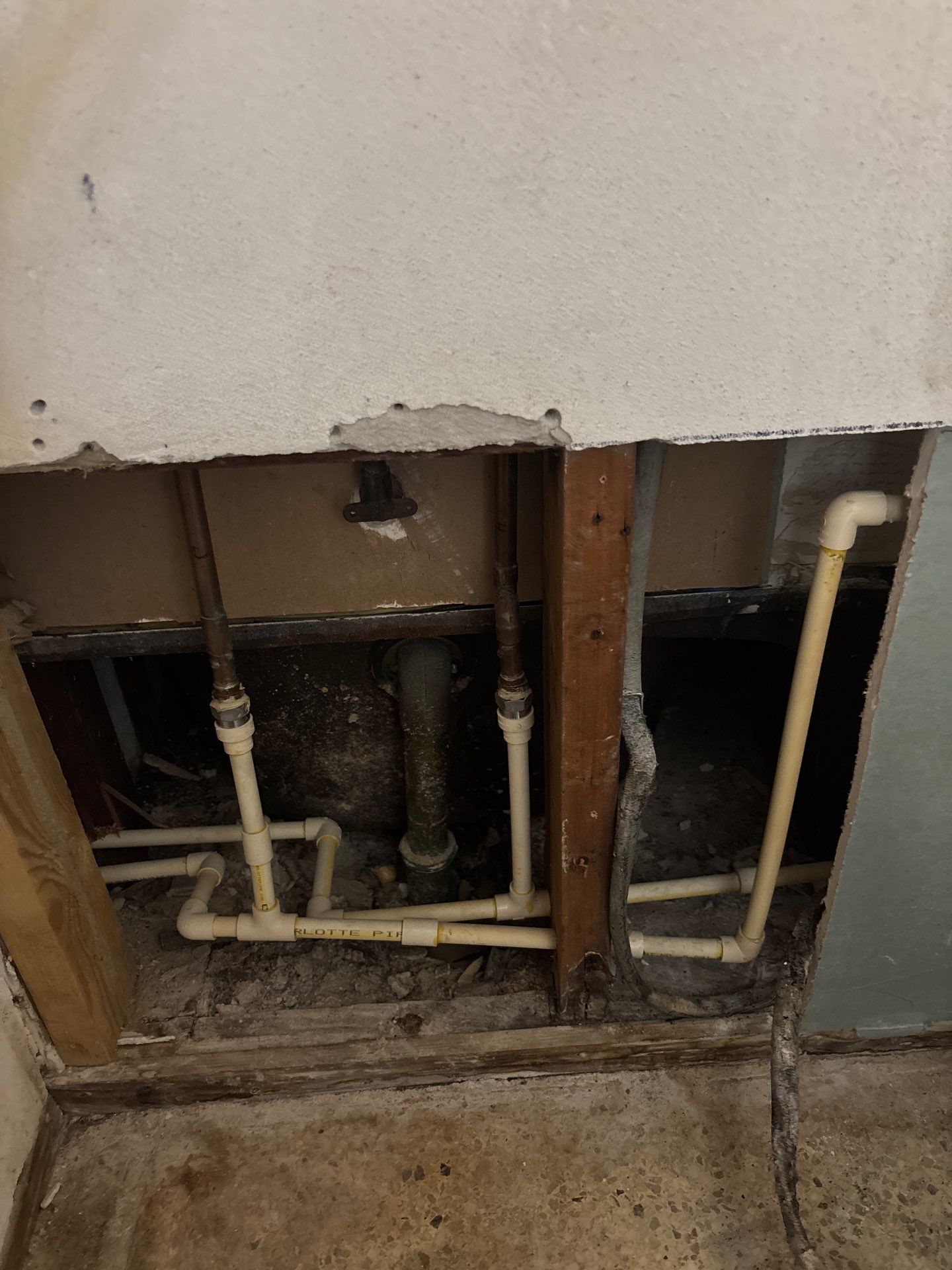 Mold Remediation In Sarasota, FL by Ampm Restoration Services
