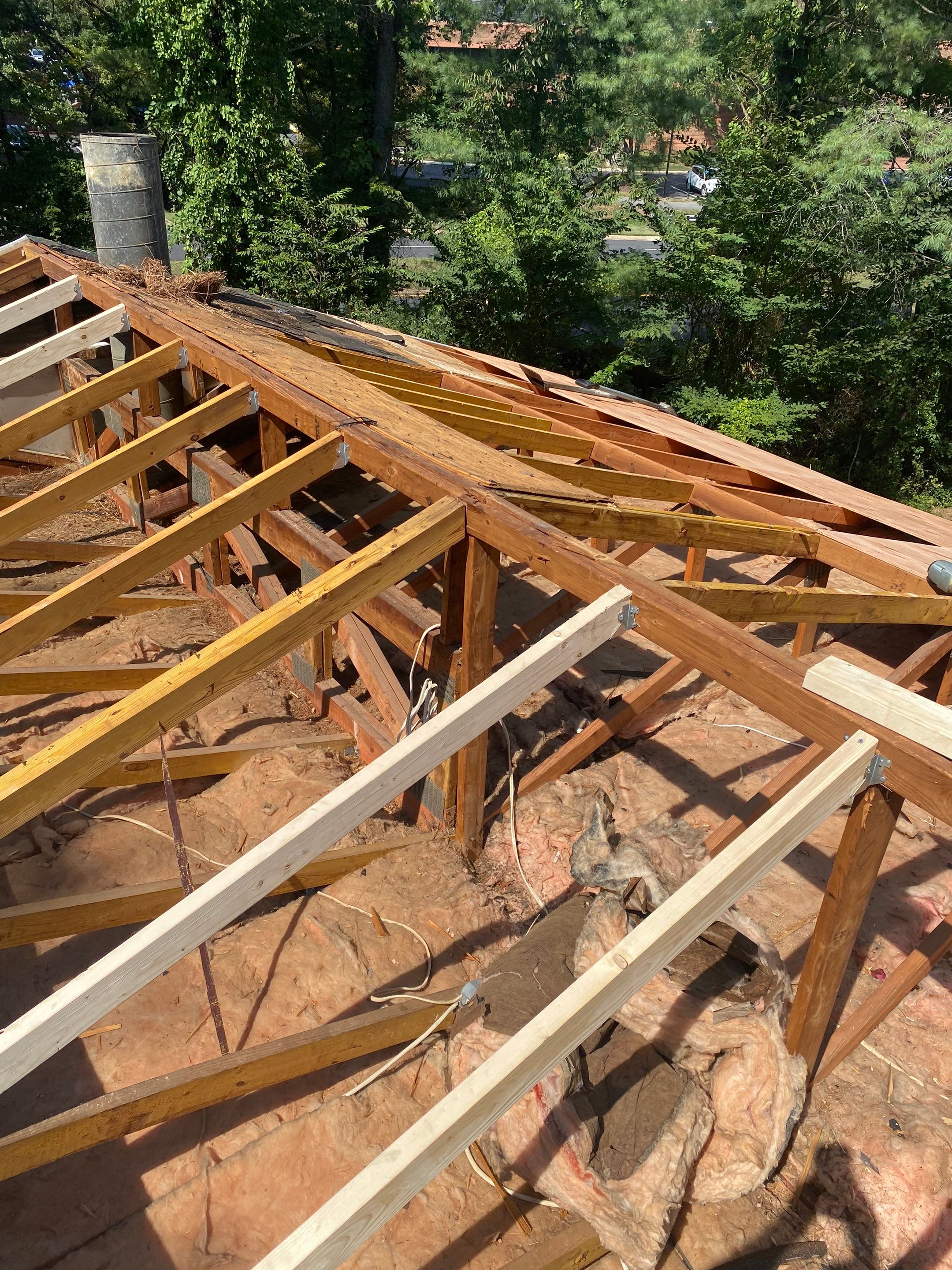 Reston: Roof Replacement with CertainTeed Landmark Pro Designer Shingles in Max Def Moire Black by RM Banning, Inc.