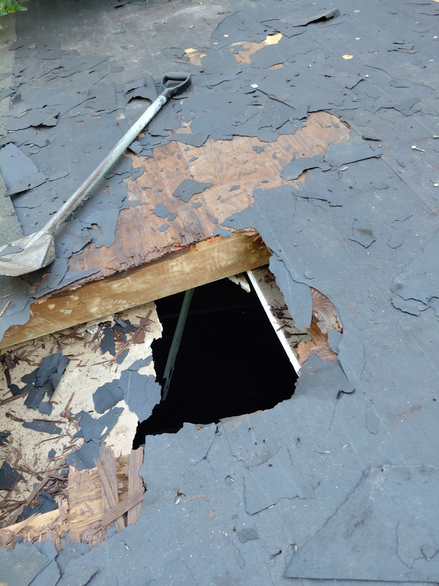 Alexandria: Residential Roof with CertainTeed Landmark Pro in Max Def Burnt Sienna by RM Banning, Inc.