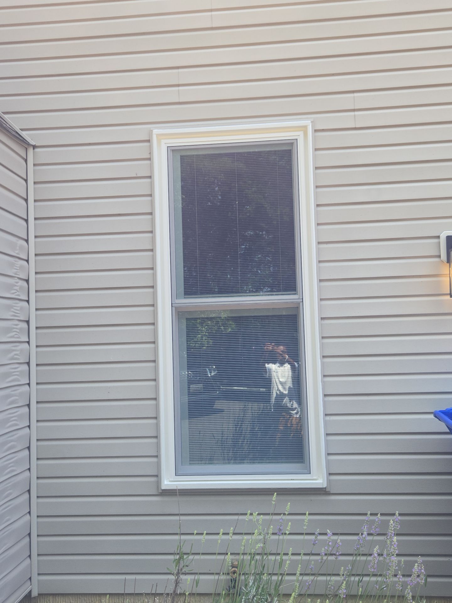Whole house window replacement by Window Depot of Annapolis