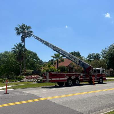 Tree Work | Heronview HOA