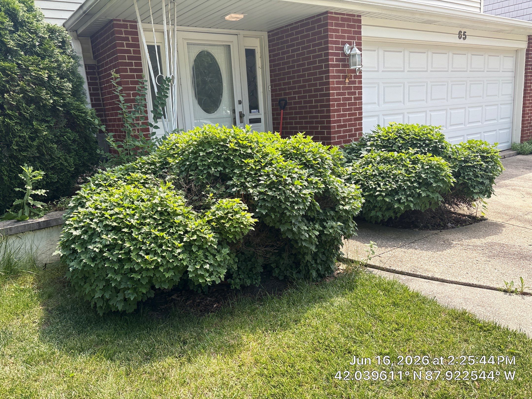 Joanna Z. - Des Plaines, IL by A&N 