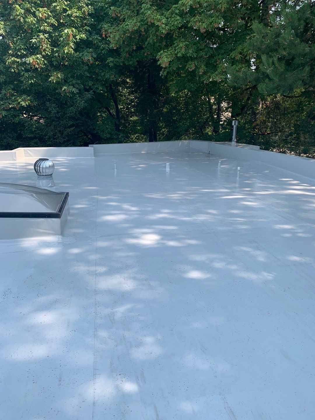 2024 Kirkland Multi-Family Overlay by Alternative Roofing Systems Inc. 