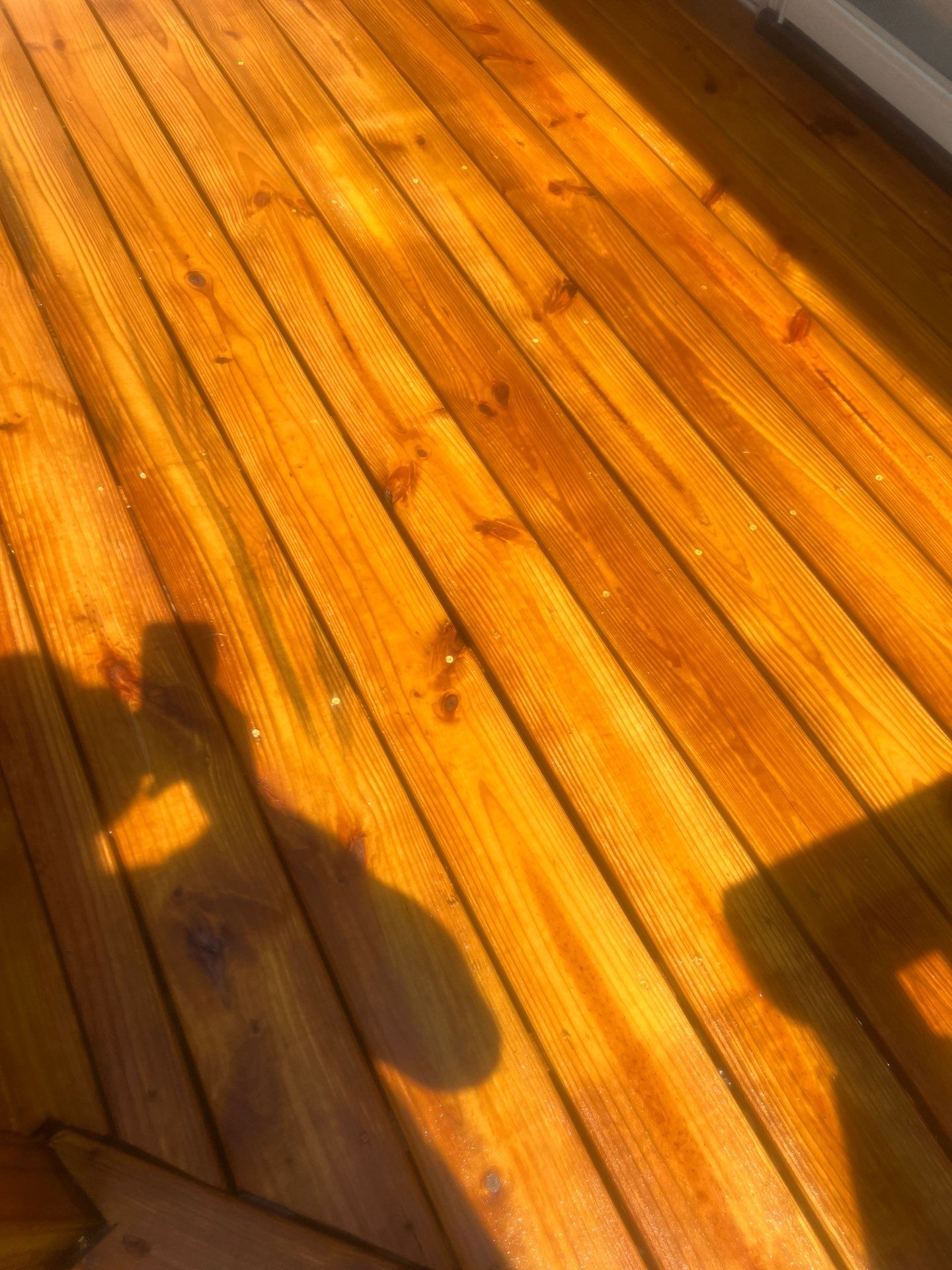 Deck using Wood Sealant by DuraSeal