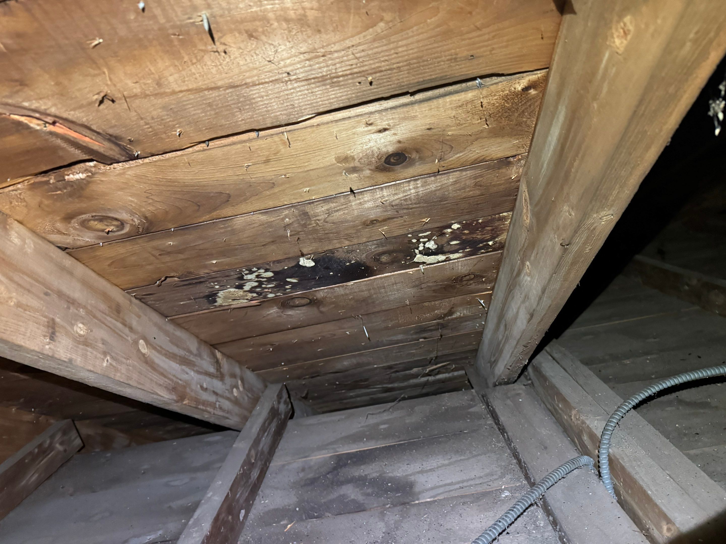 Entire Home Remediation by Home Guarantee, LLC