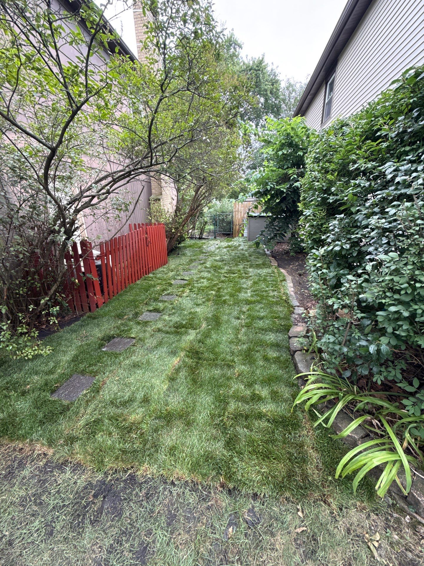 Helana M. - Mount Prospect, IL by A&N