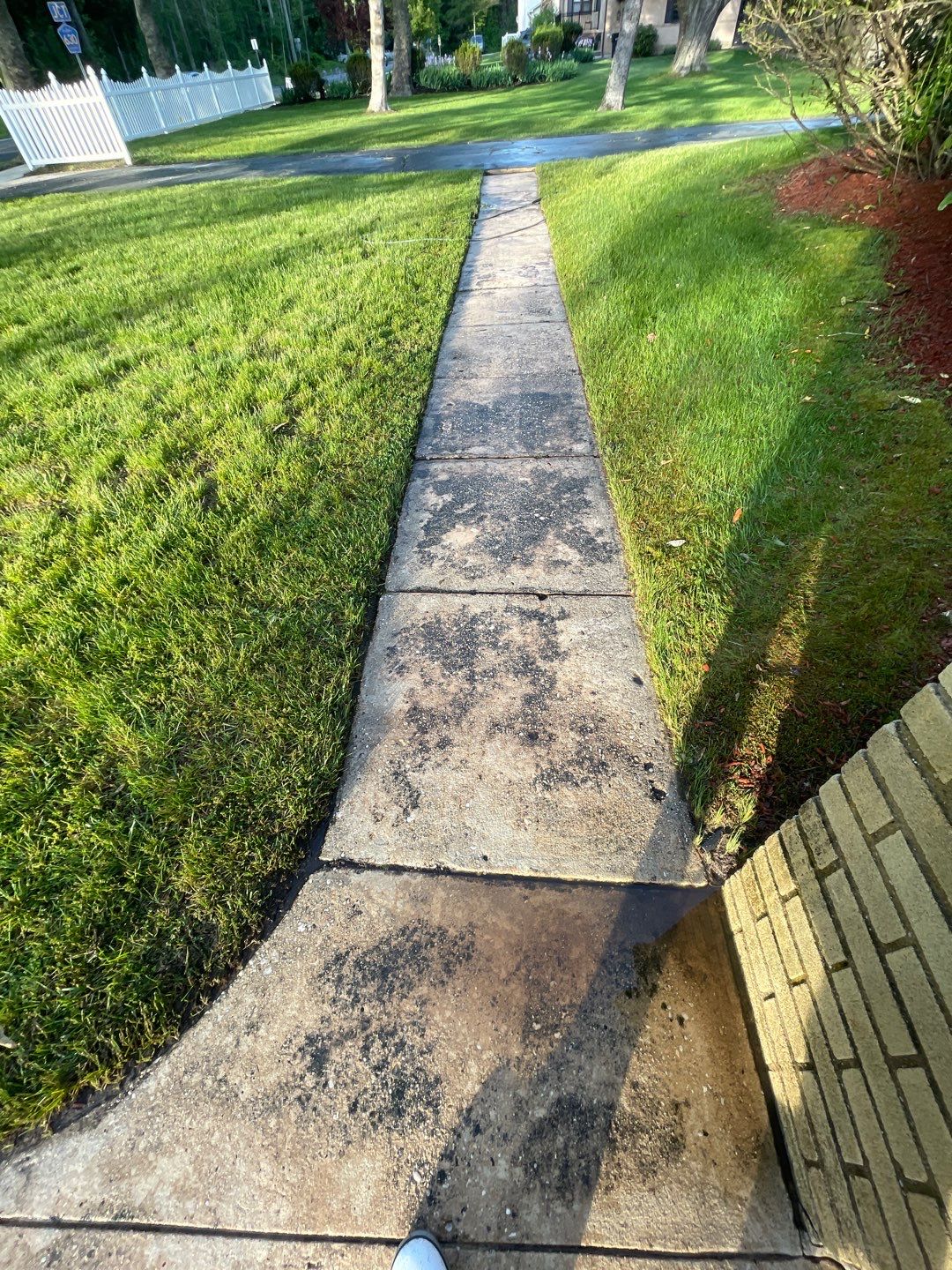 House, Pool & Rear Patio, Garage & Fence by SJ Exterior