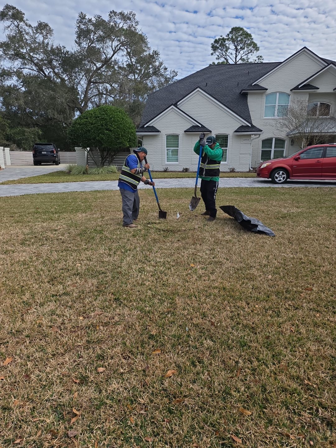 Deerwood Resident | Tree Install by ProGreen Services
