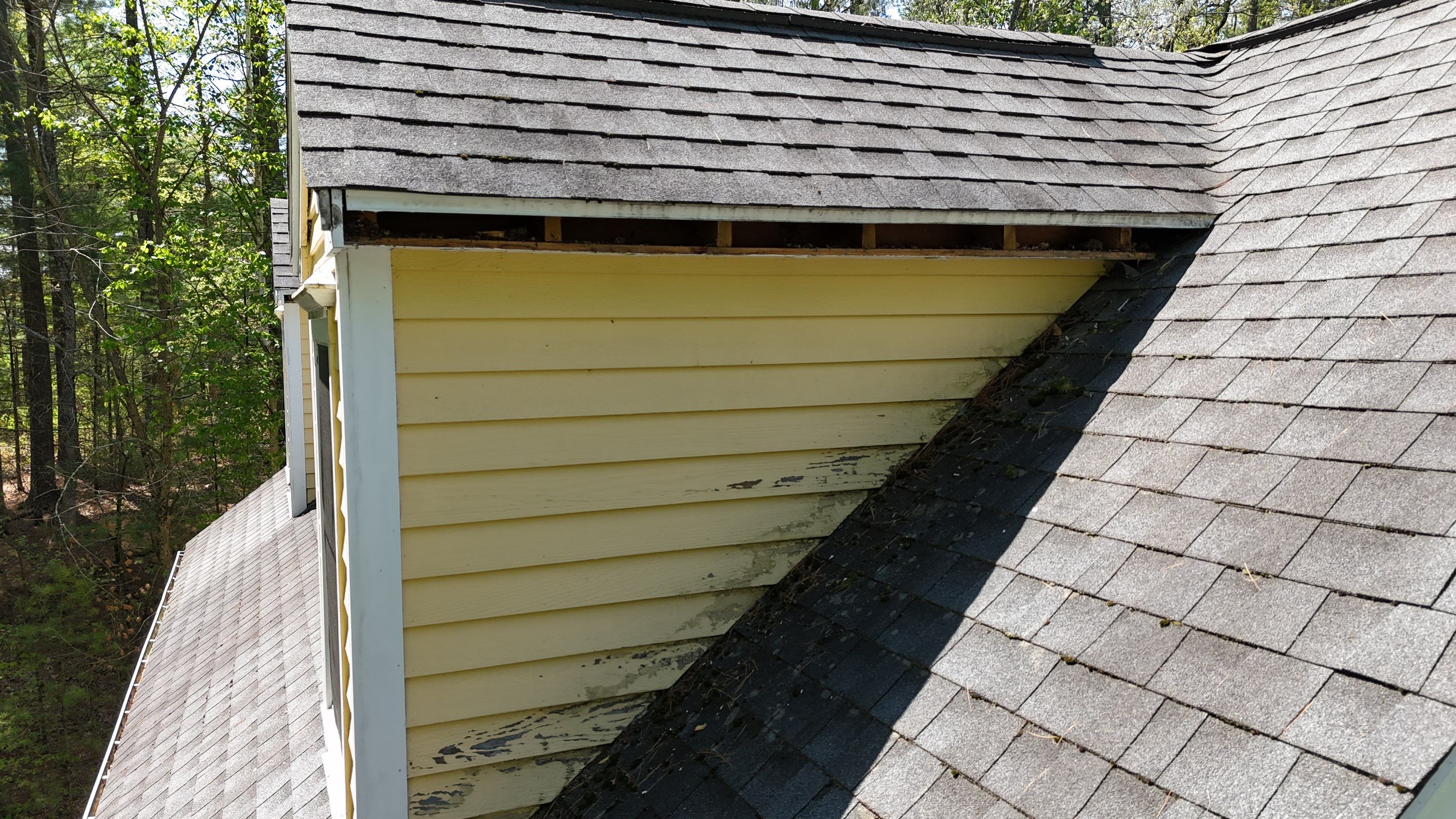 Siding | Dunstable by Mighty Dog Roofing of Greater Middlesex County