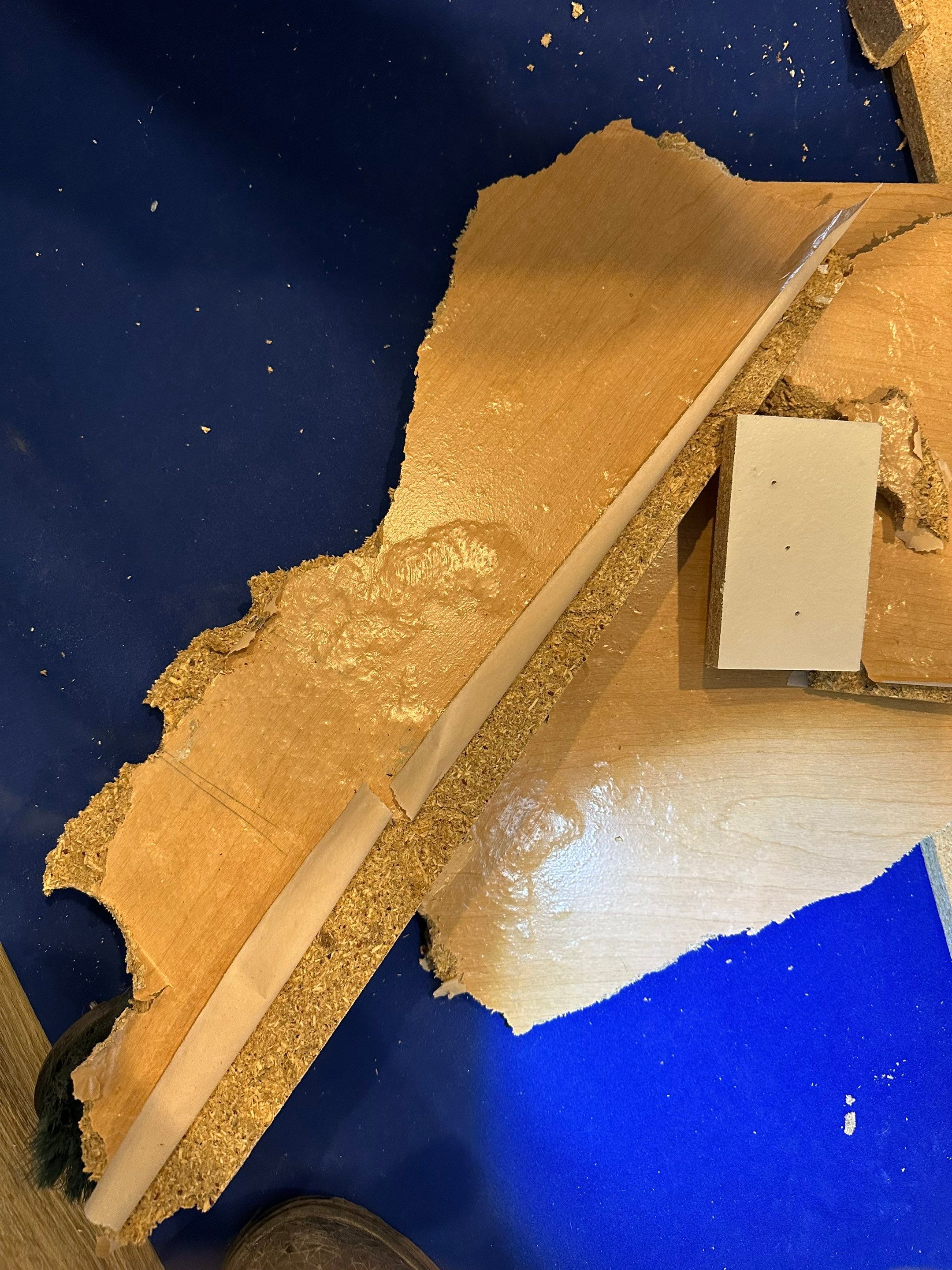 Water Damage in Aurora, CO by Alpha Restoration 