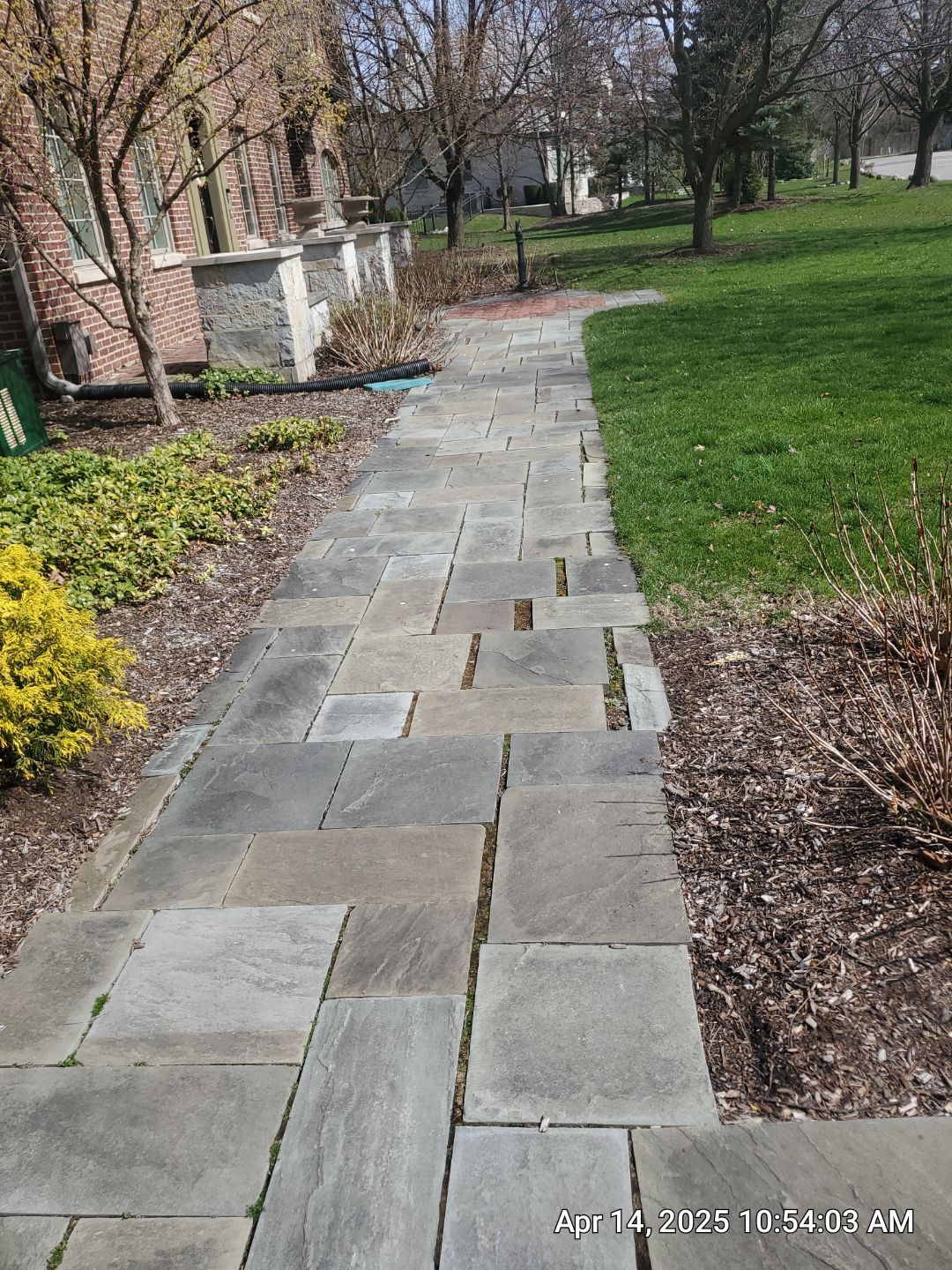 bluestone using Algaecide, soft wash soap by Northern Power Washing LLC.