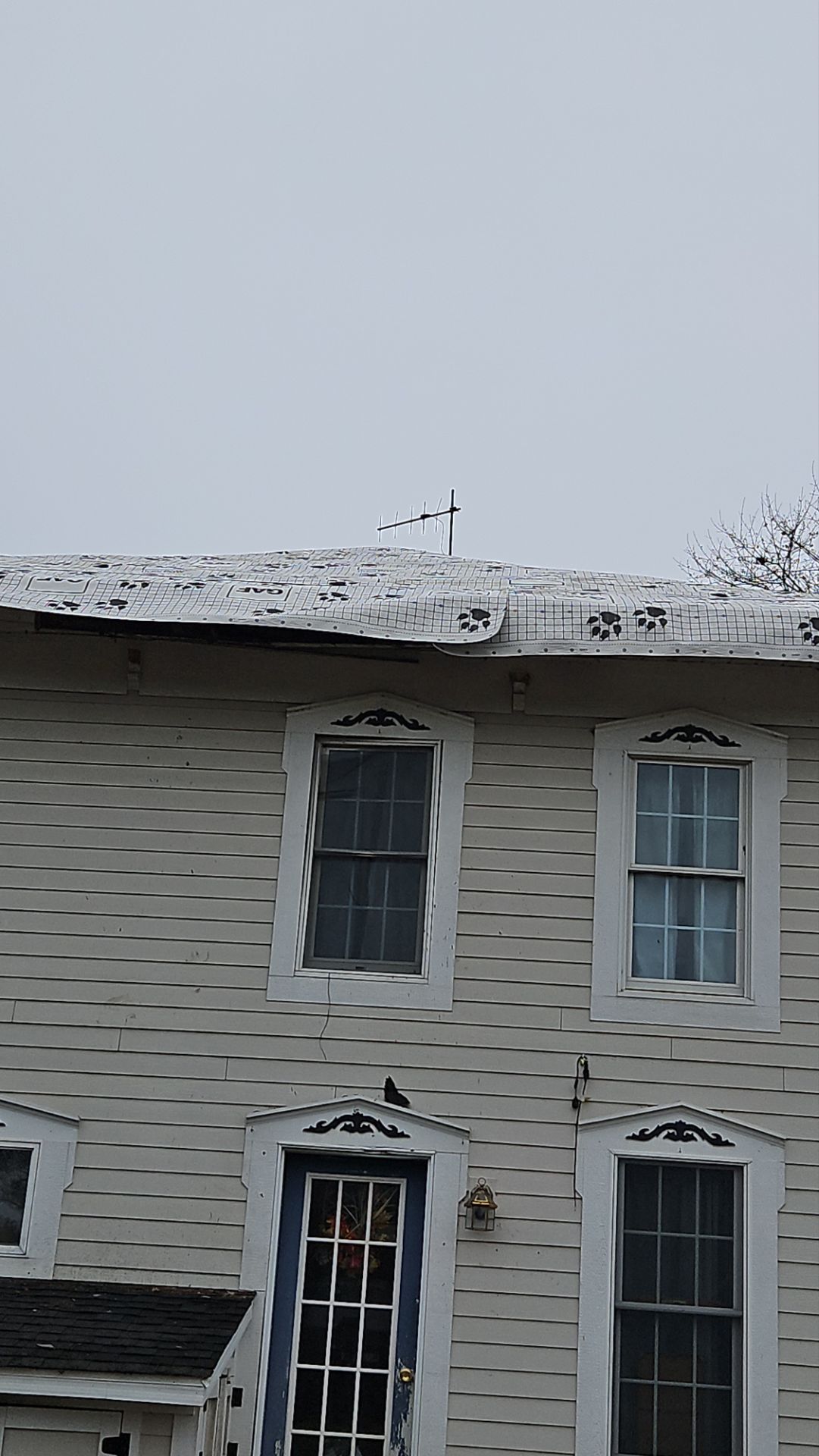 Pine Ridge Roofing LLC featured photo.